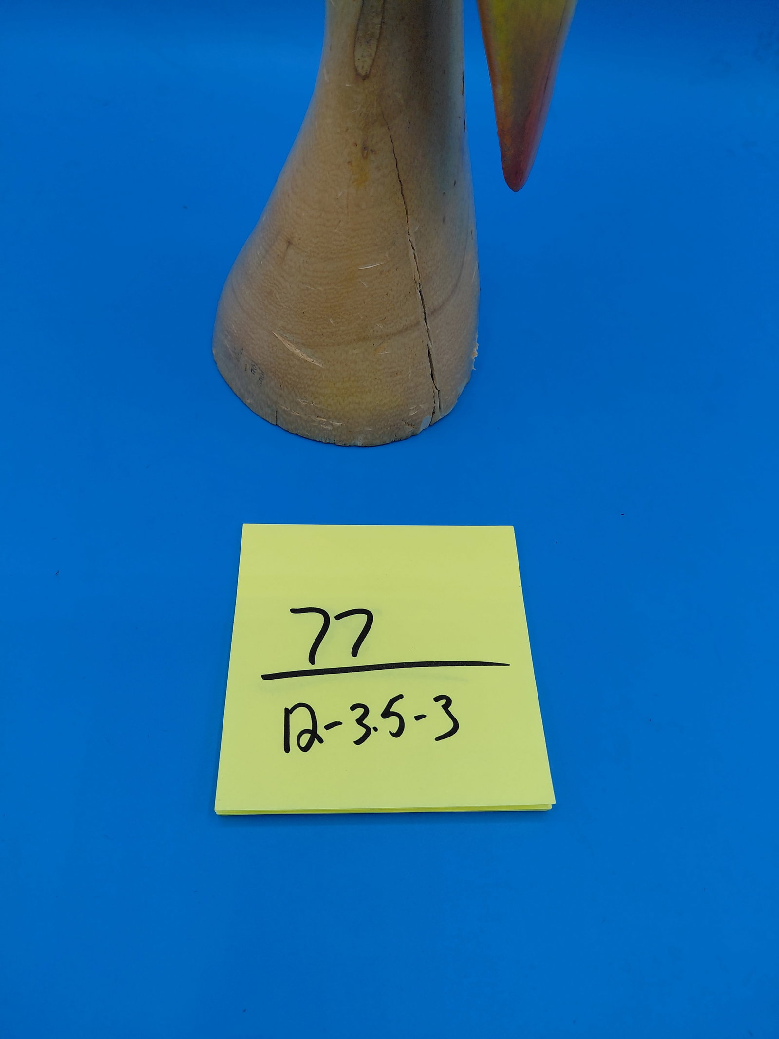 Carved Wood Painted Parrot Statue - 2