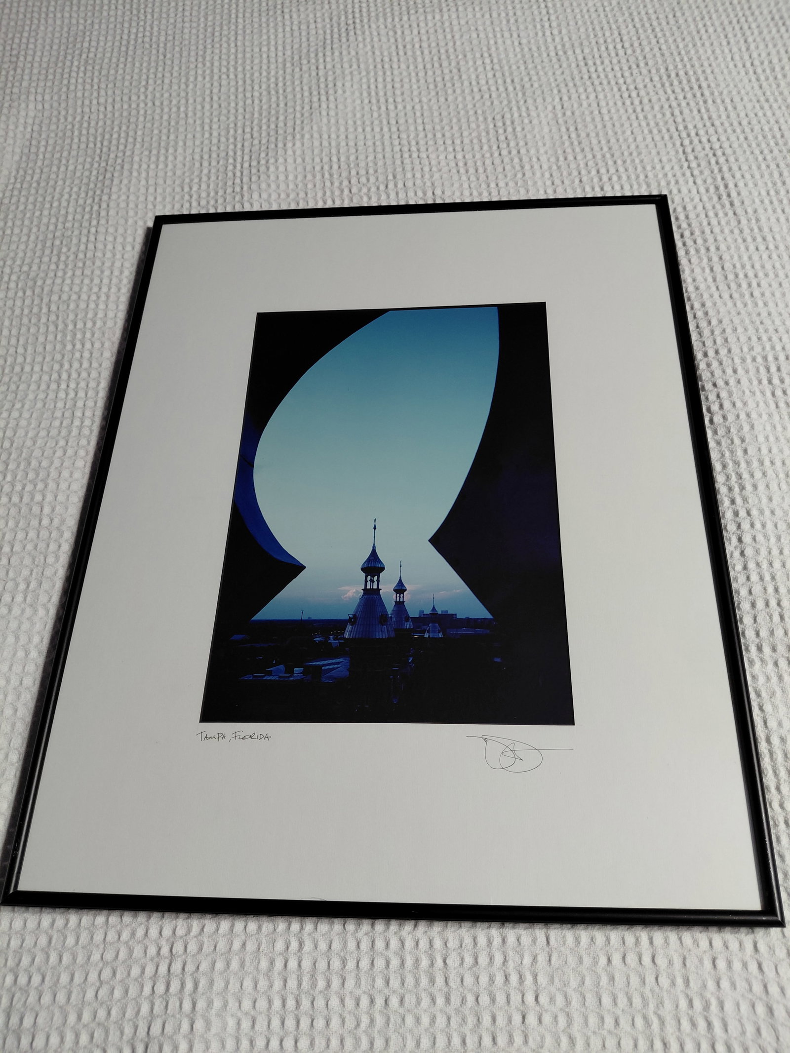 Artist Sign Framed & Matted Phography of Tampa Florida (1 of 4)
