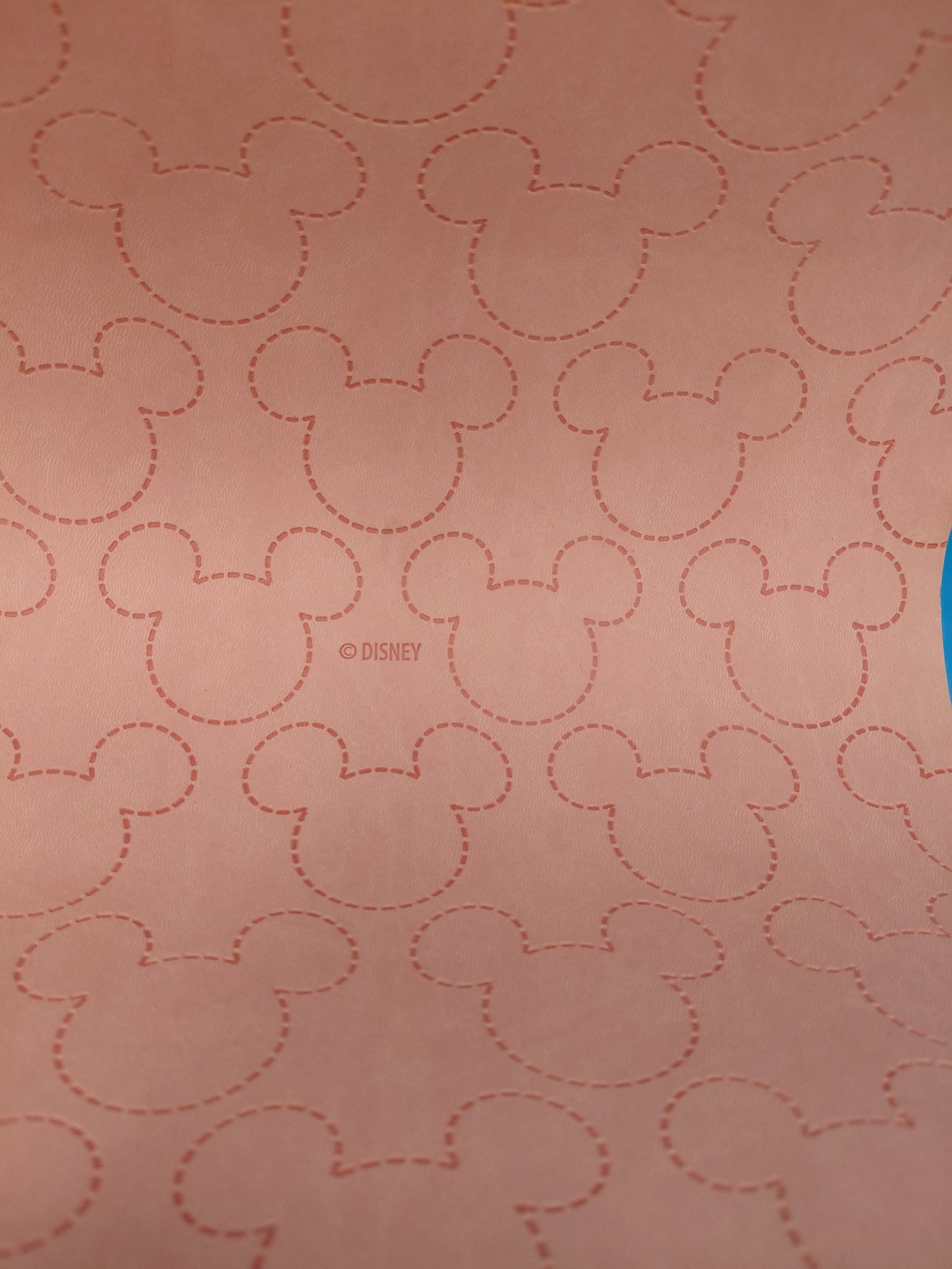 NEW Disney Mickey Icon File / Magazine Organizer - 6