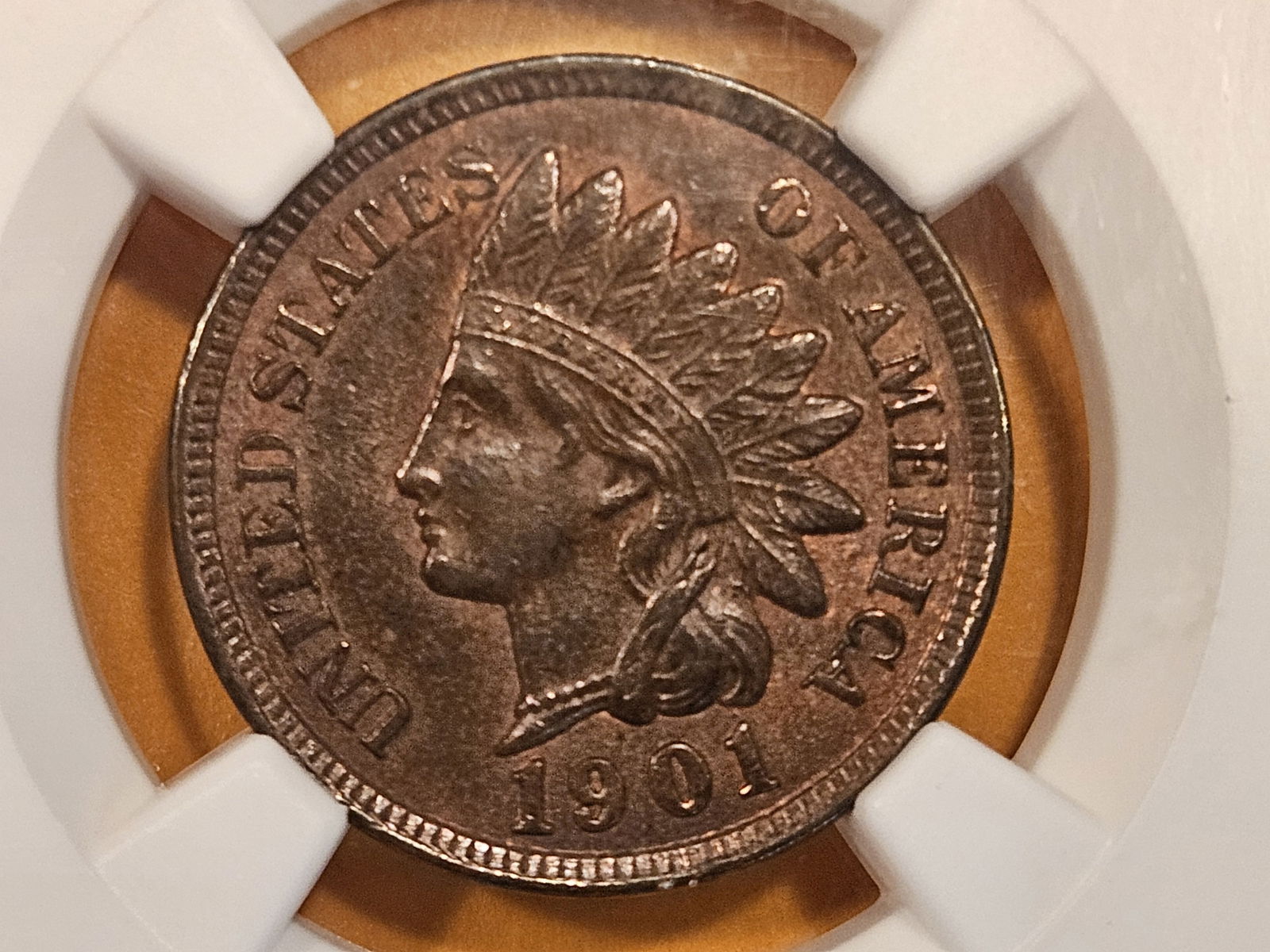 NGC 1901 Indian Cent in Mint State 62 Brown (1 of 4)