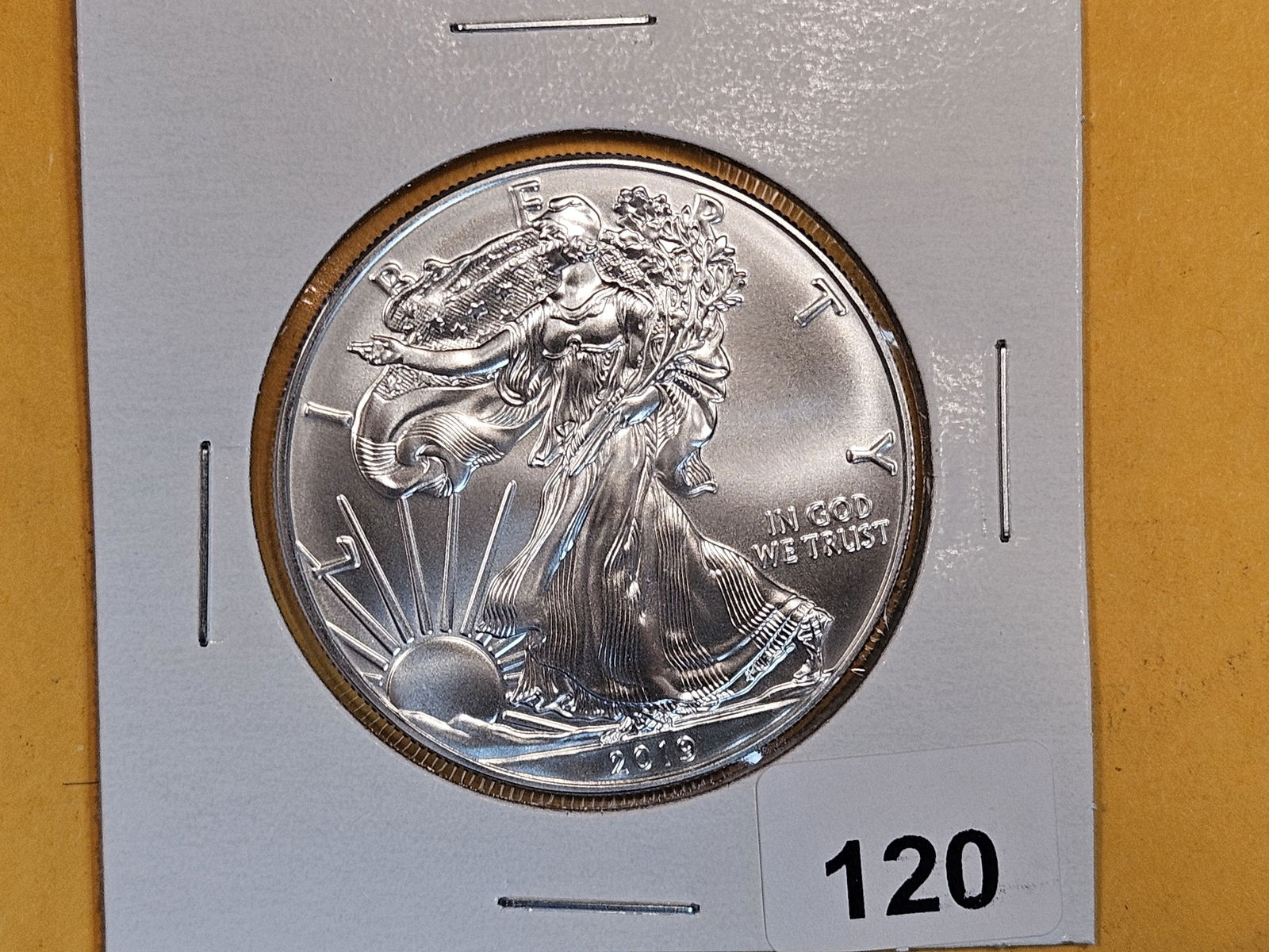 GEM Brilliant Uncirculated 2019 American Silver Eagle (1 of 2)