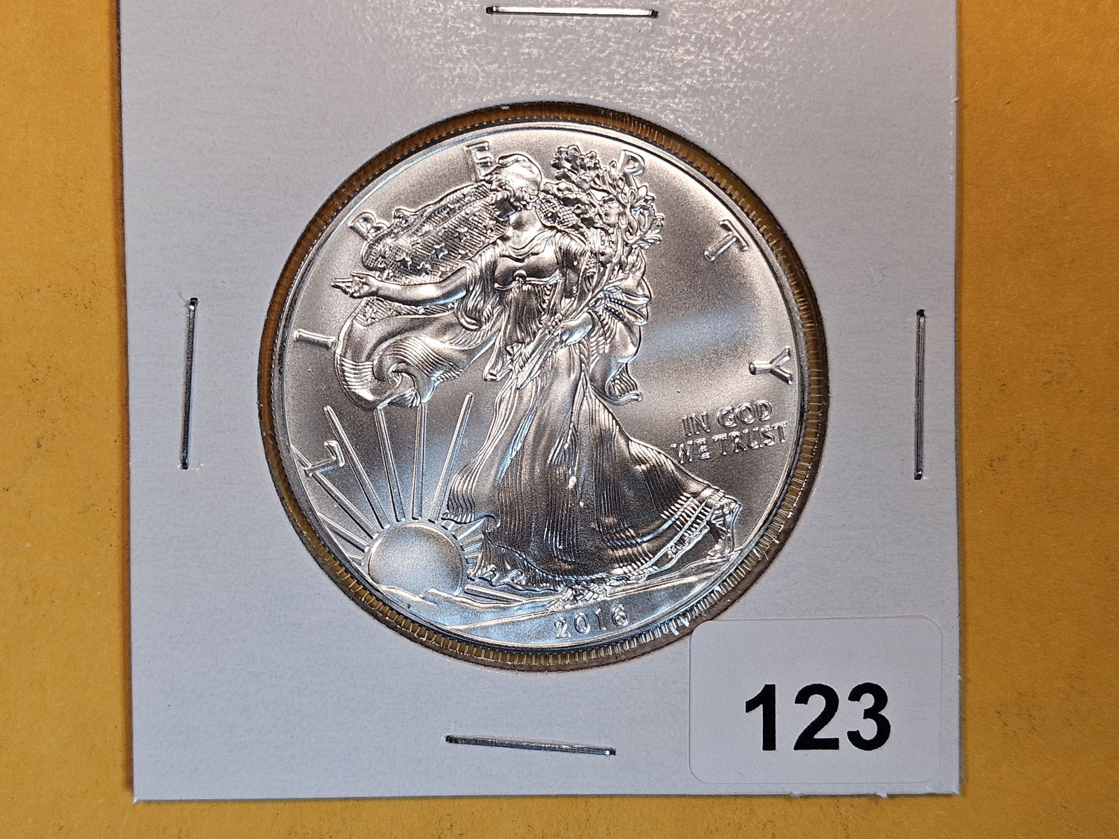 GEM Brilliant Uncirculated 2016 American Silver Eagle (1 of 2)