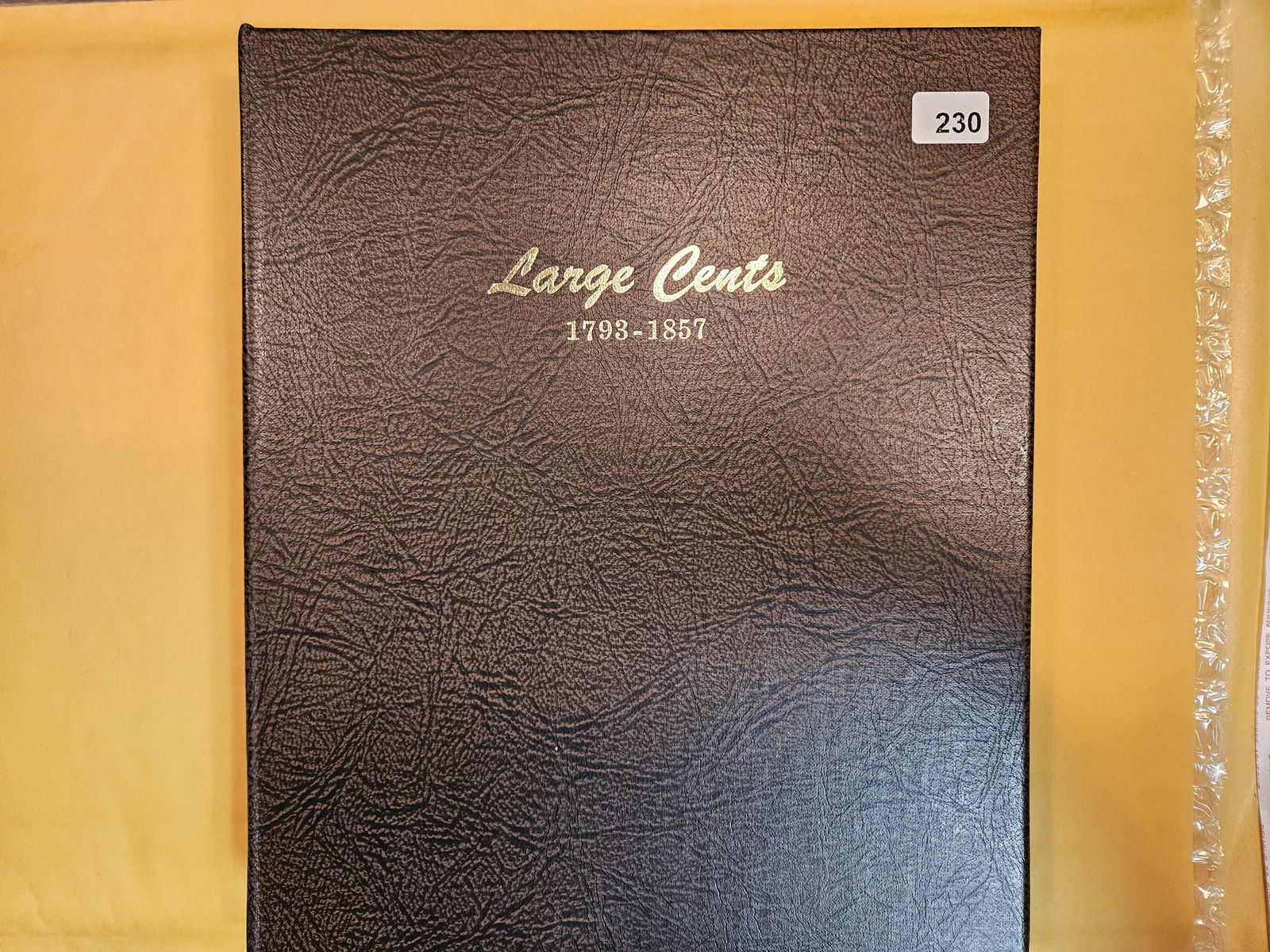 * Very Nice, Partially Complete, Dansco Large Cent Album collection! (1 of 13)