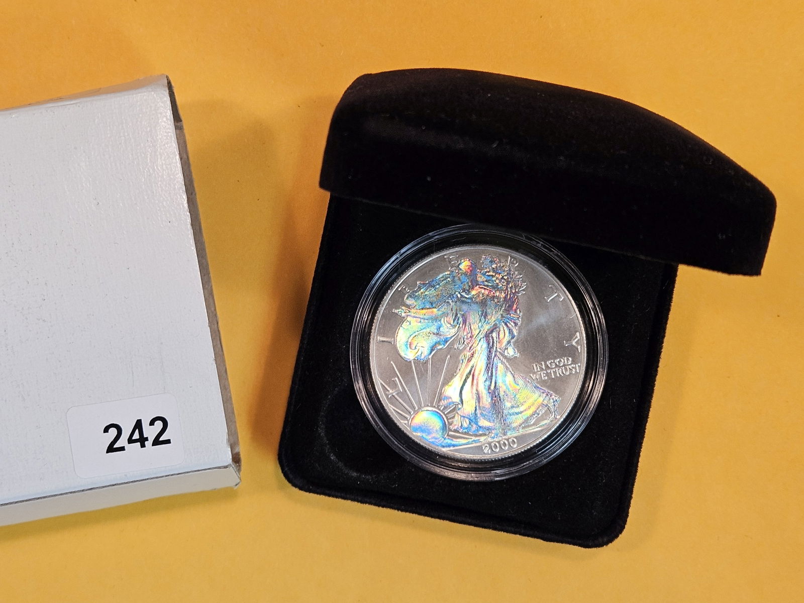 Millenium 2000 American Silver Eagle (1 of 5)