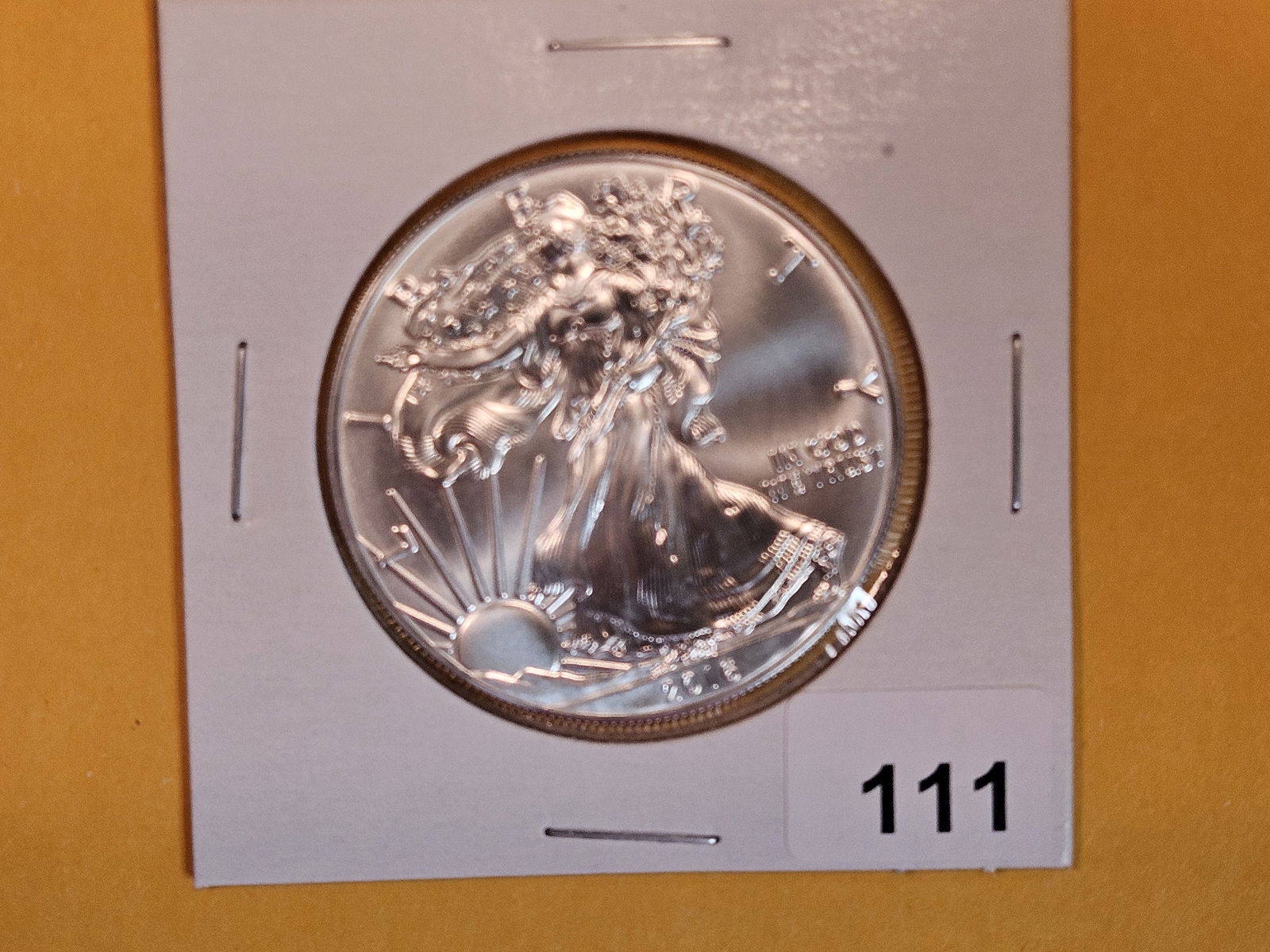 GEM Brilliant Uncirculated 2016 American Silver Eagle (1 of 2)