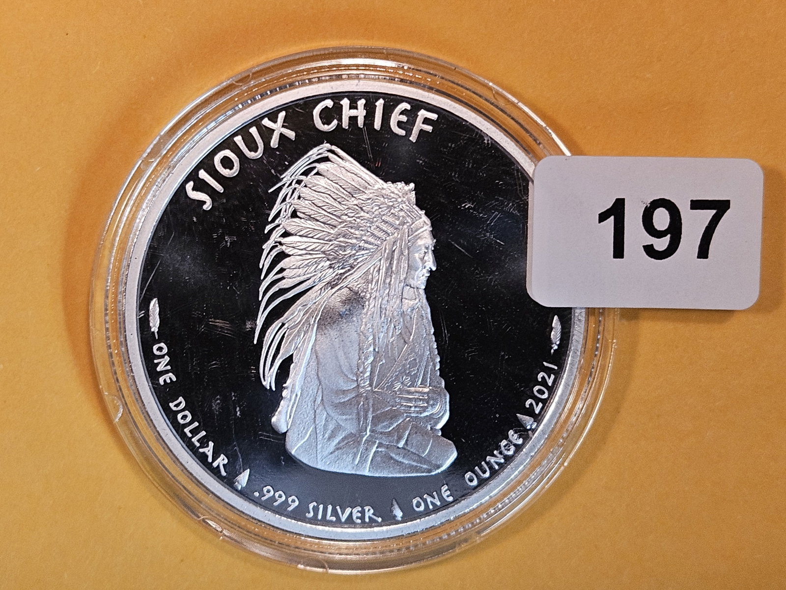 GEM Proof Deep Cameo 2021 Sioux Sovereign Nation Silver Dollar (1 of 2)