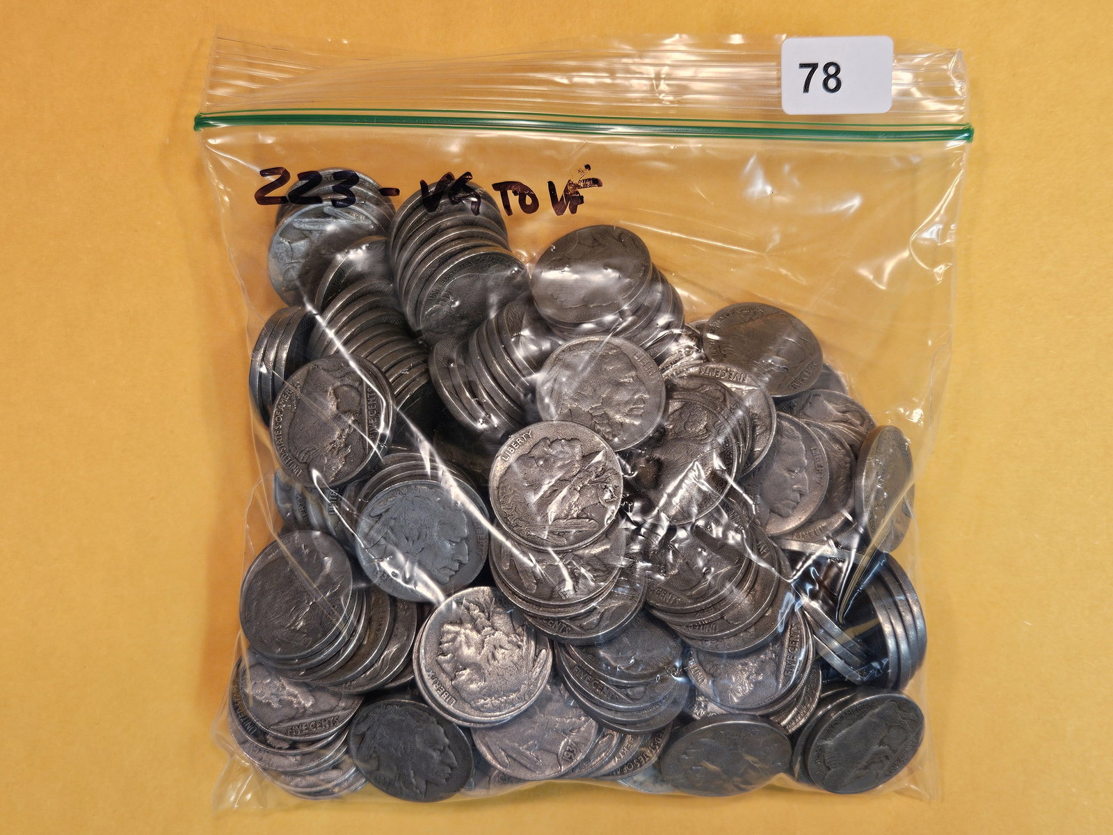 Two Hundred Twenty-Three Buffalo Nickels (1 of 1)