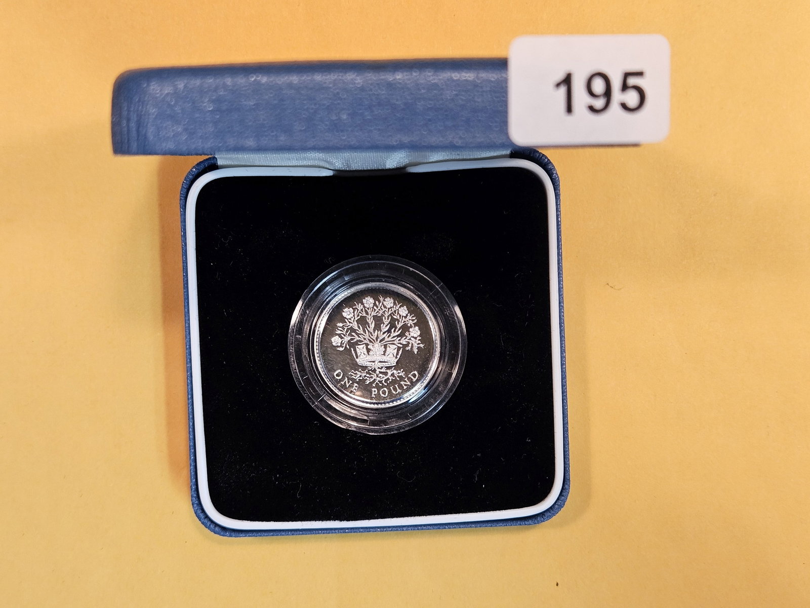 1991 GEM Proof Deep Cameo Piefort silver One Pound (1 of 3)