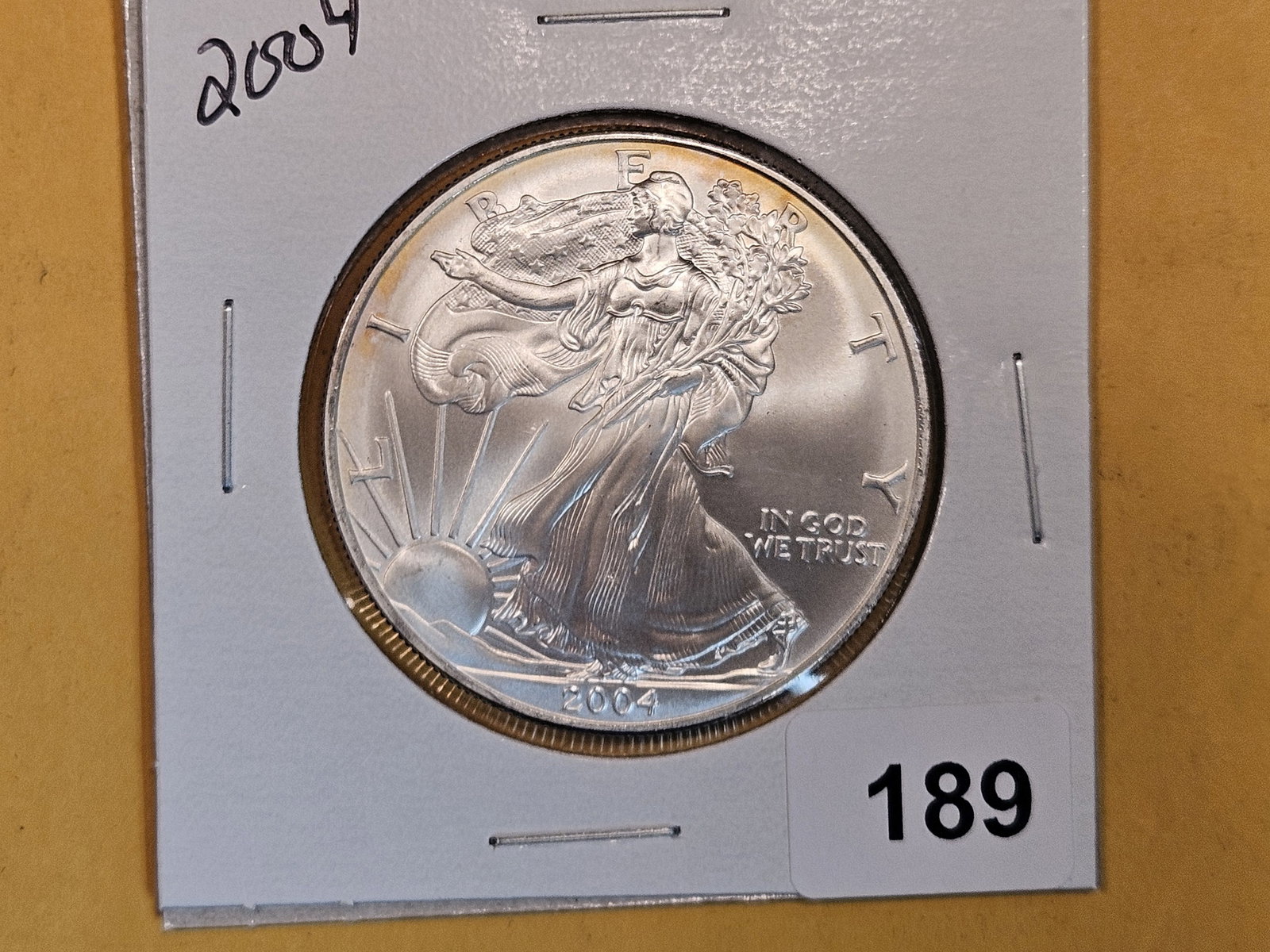 GEM Brilliant Uncirculated 2004 American Silver Eagle (1 of 2)