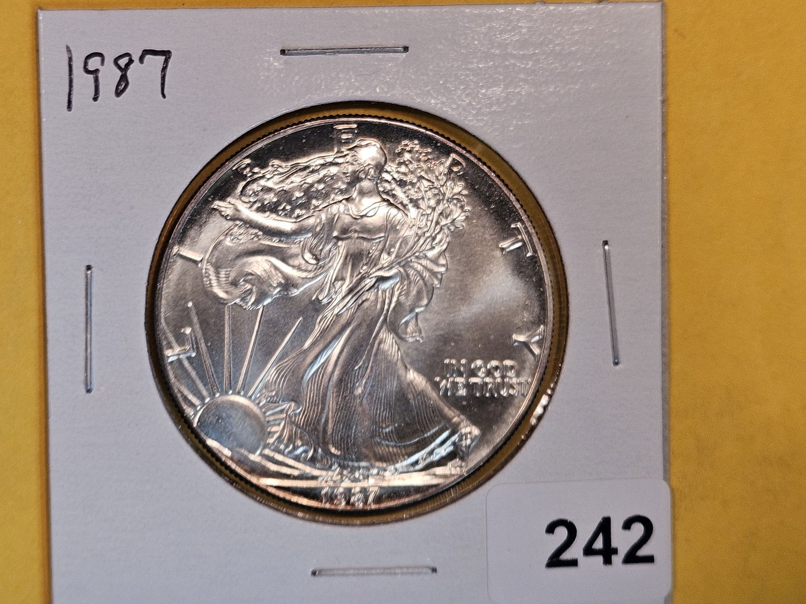GEM Brilliant uncirculated 1987 American Silver Eagle (1 of 2)