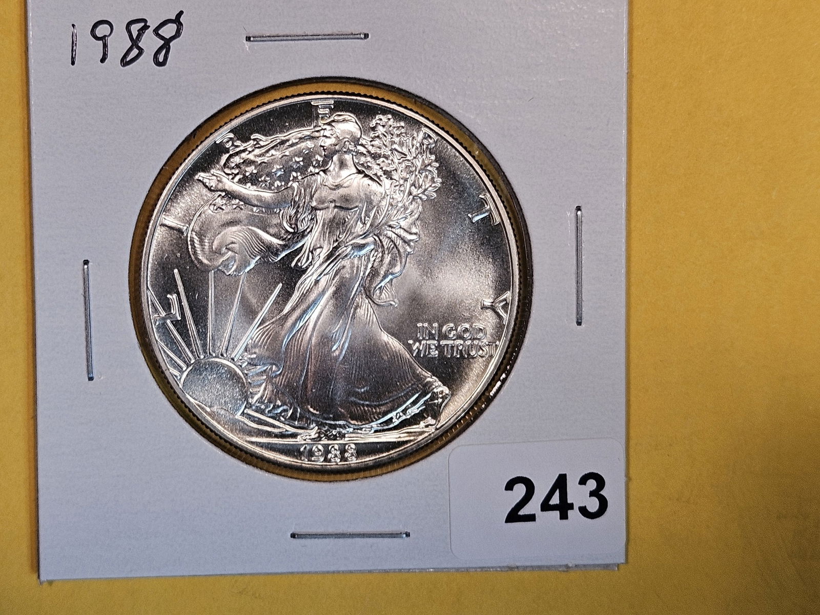 GEM Brilliant uncirculated 1987 American Silver Eagle (1 of 2)