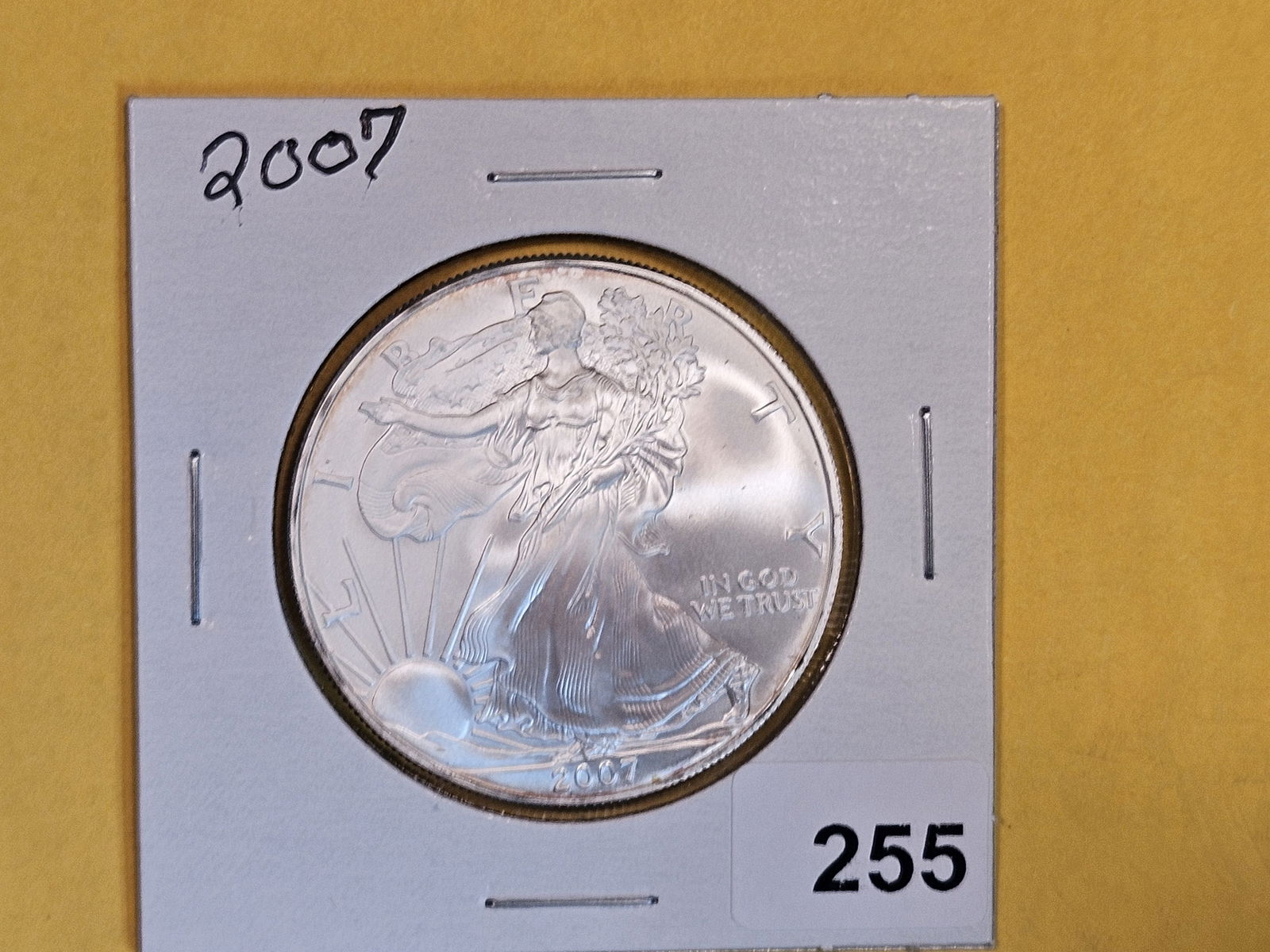 GEM Brilliant Uncirculated 2007 American Silver Eagle (1 of 2)