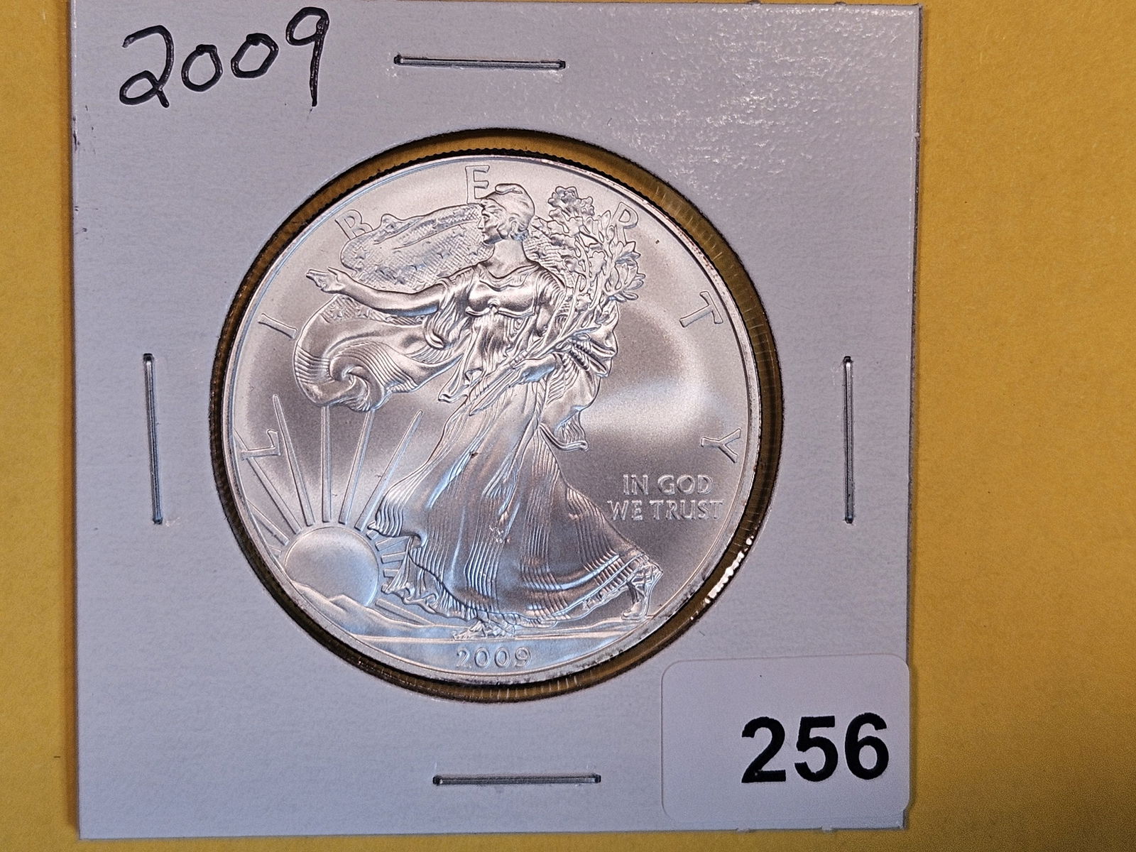 GEM Brilliant Uncirculated 2009 American Silver Eagle (1 of 2)