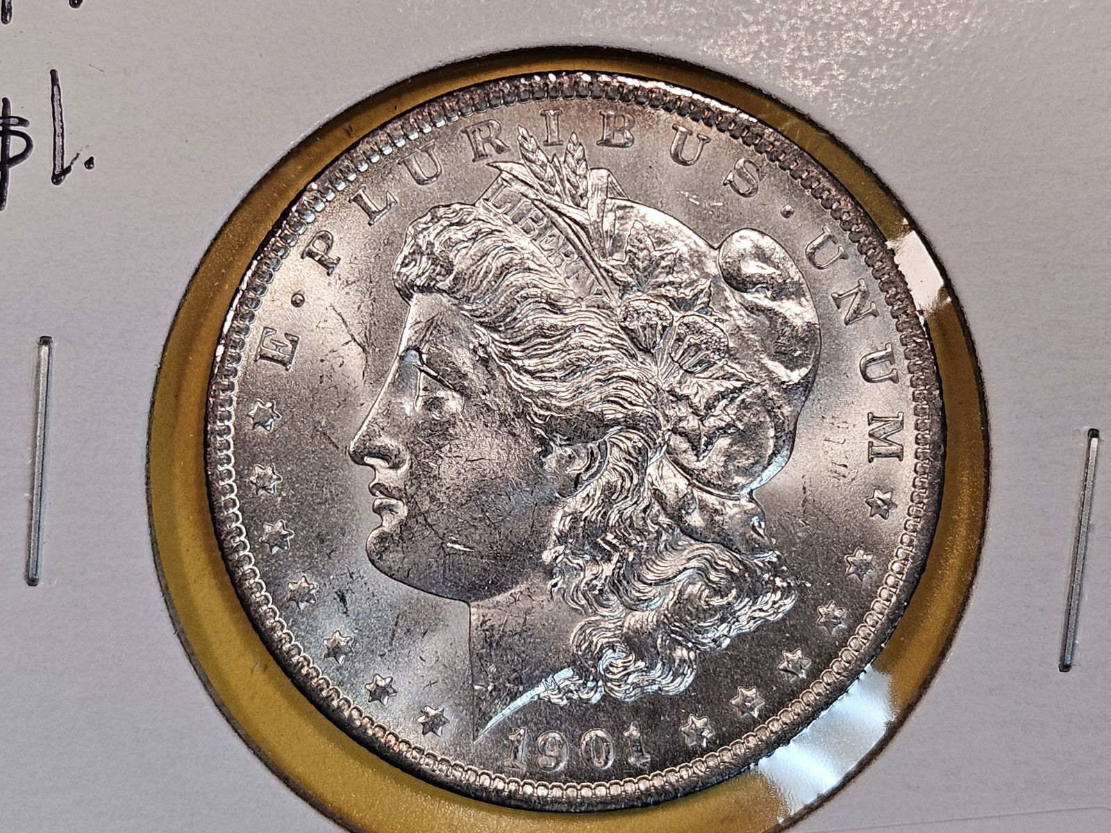 1901-O Morgan Dollar (1 of 3)