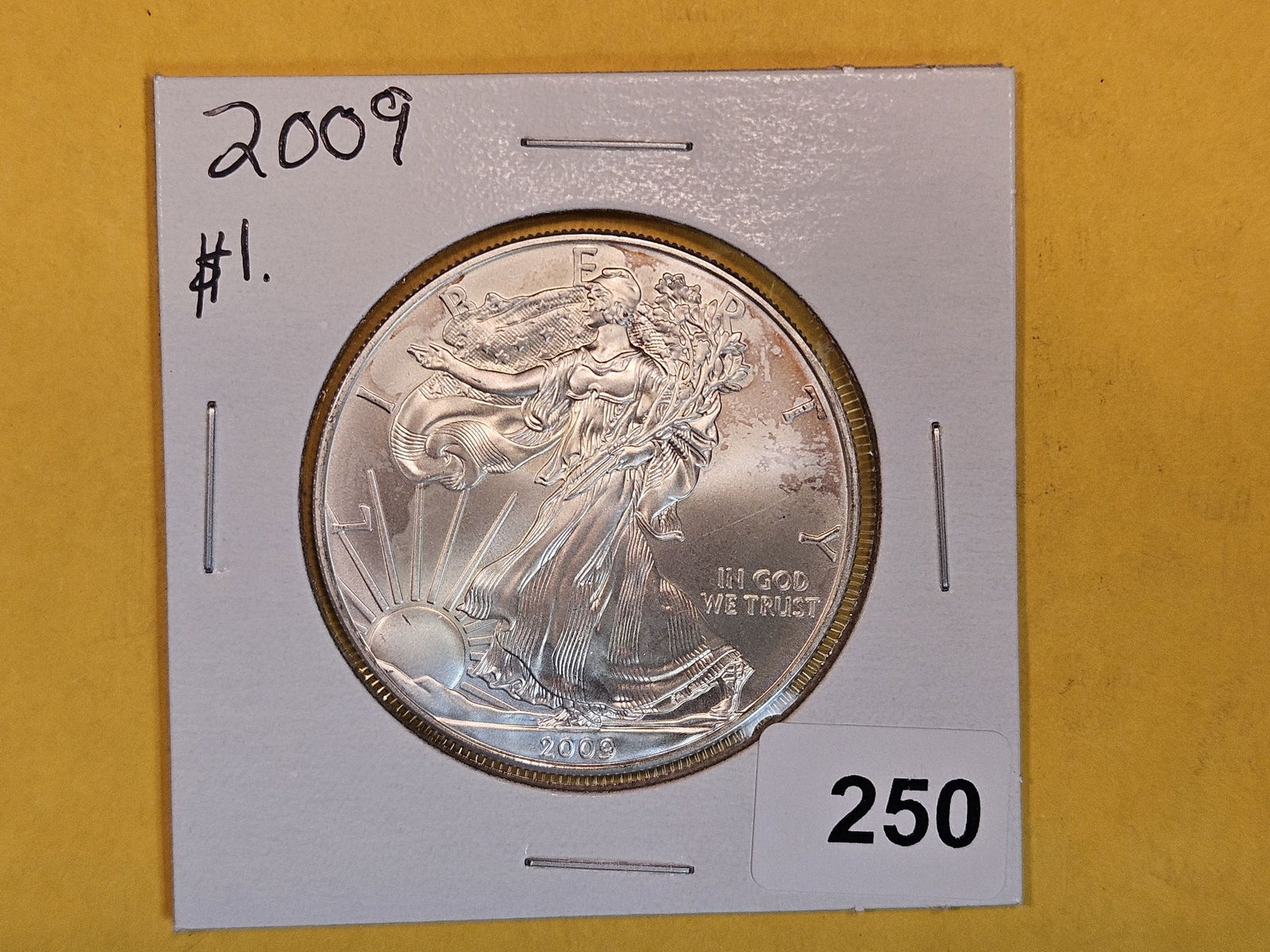 GEM Brilliant Uncirculated 2009 American Silver Eagle (1 of 2)