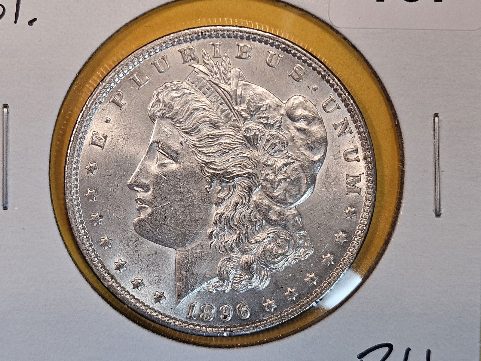 1896 Morgan Dollar (1 of 3)