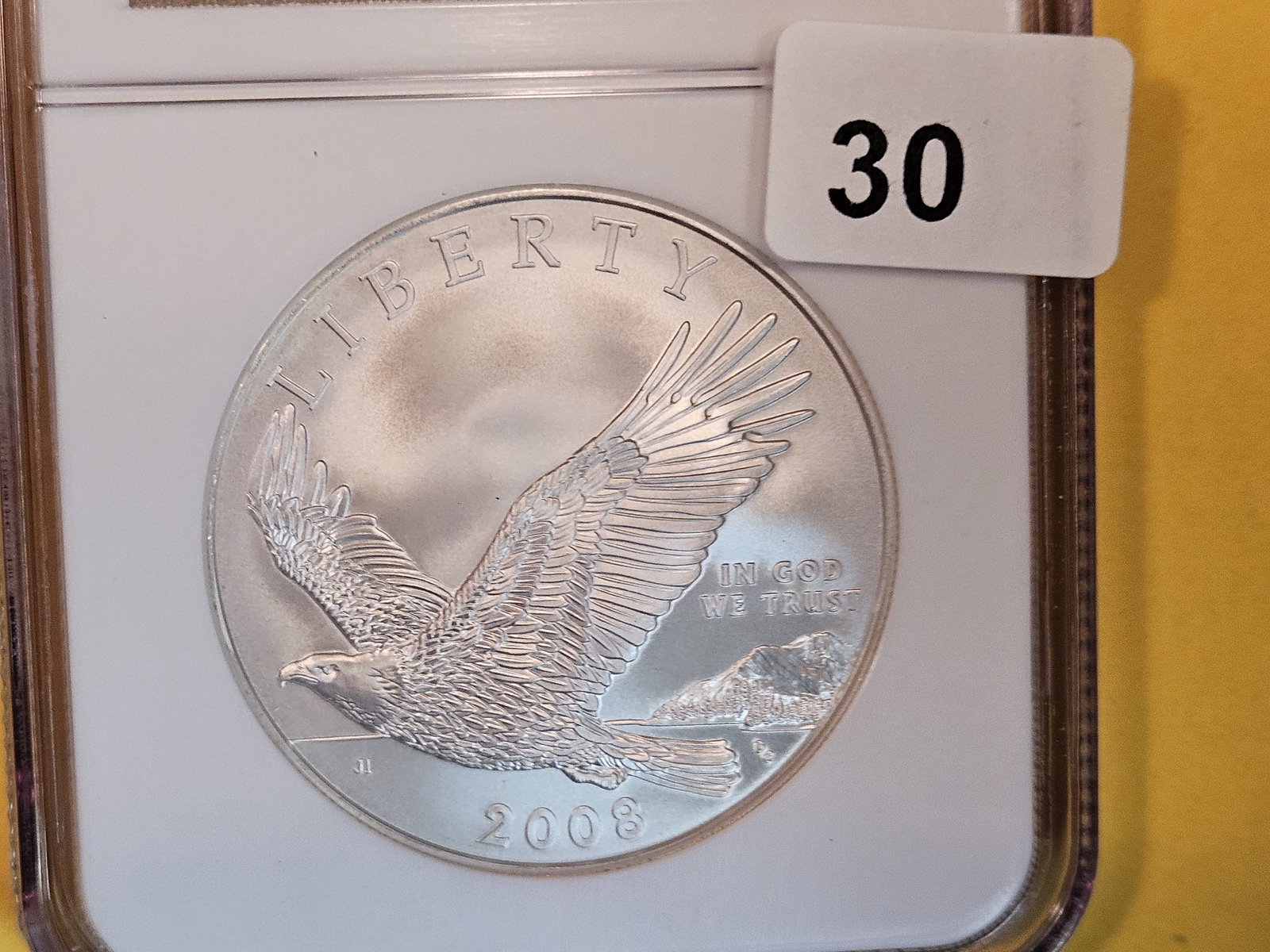 NGC 2008-P Bald Eagle Commemorative Silver Dollar (1 of 3)