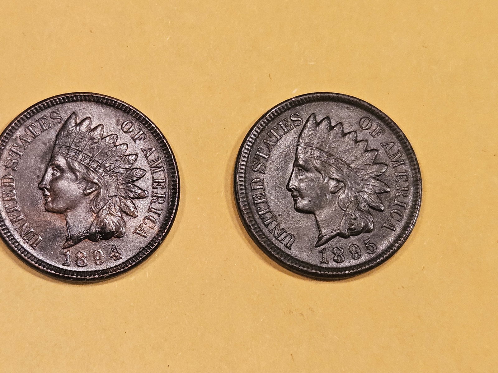 Two lustrous, Uncirculated, 1894 and 1895 Indian cents (1 of 6)