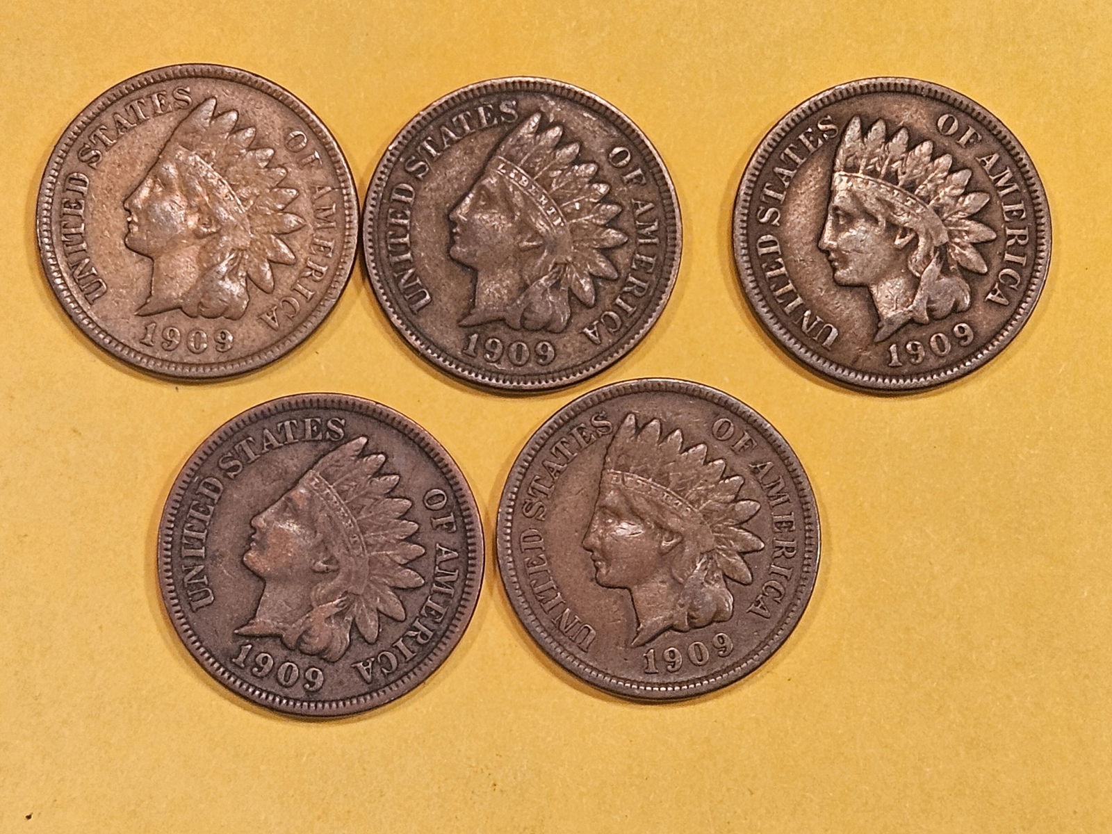 Five last year issue 1909 Indian Cents (1 of 3)