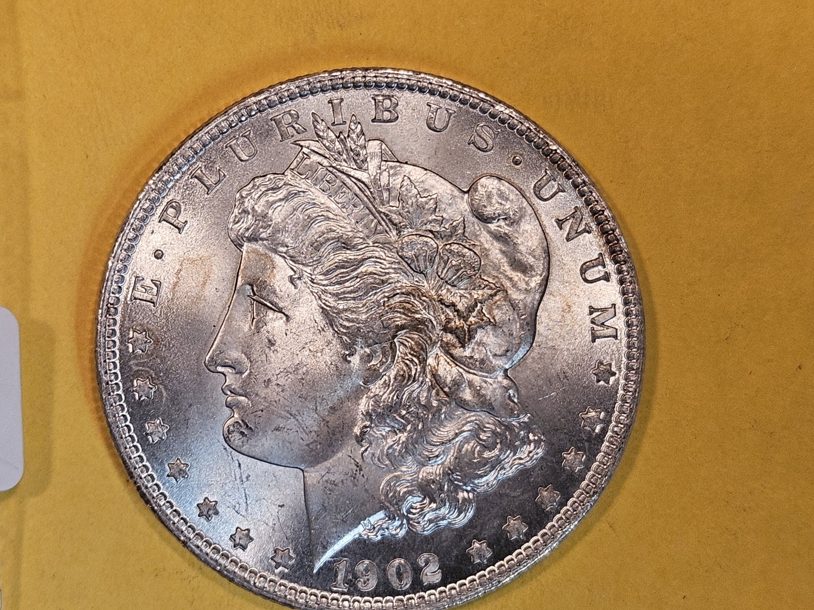 1902-O Morgan Dollar in Very Choice Brilliant Uncirculated: Clean cheek
