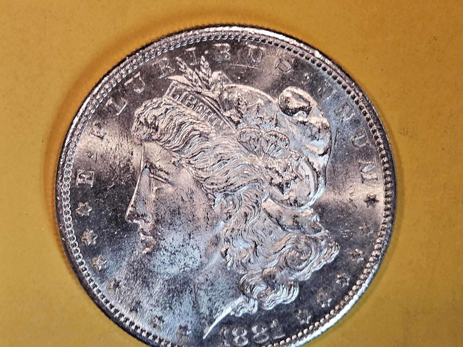 Choice Brilliant Uncirculated Plus 1881-S Morgan Dollar (1 of 5)