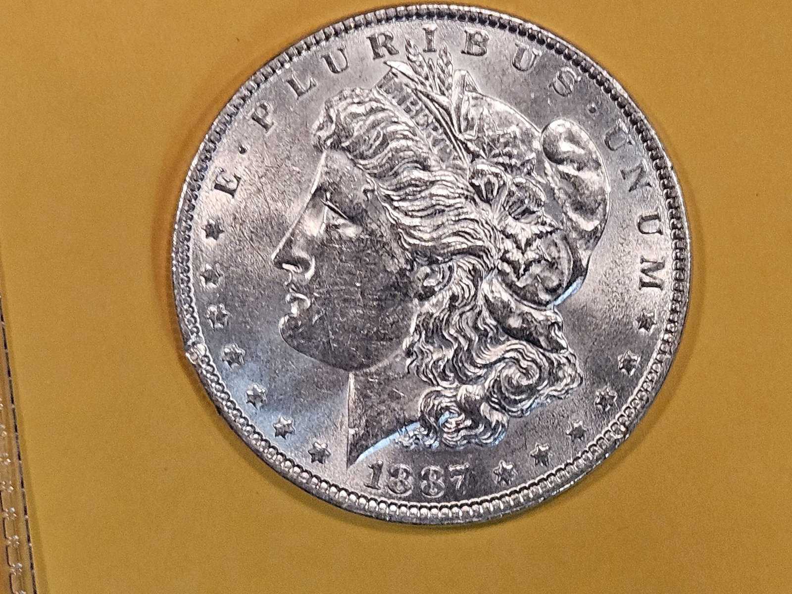 Brilliant Uncirculated 1887 Morgan Dollar (1 of 3)