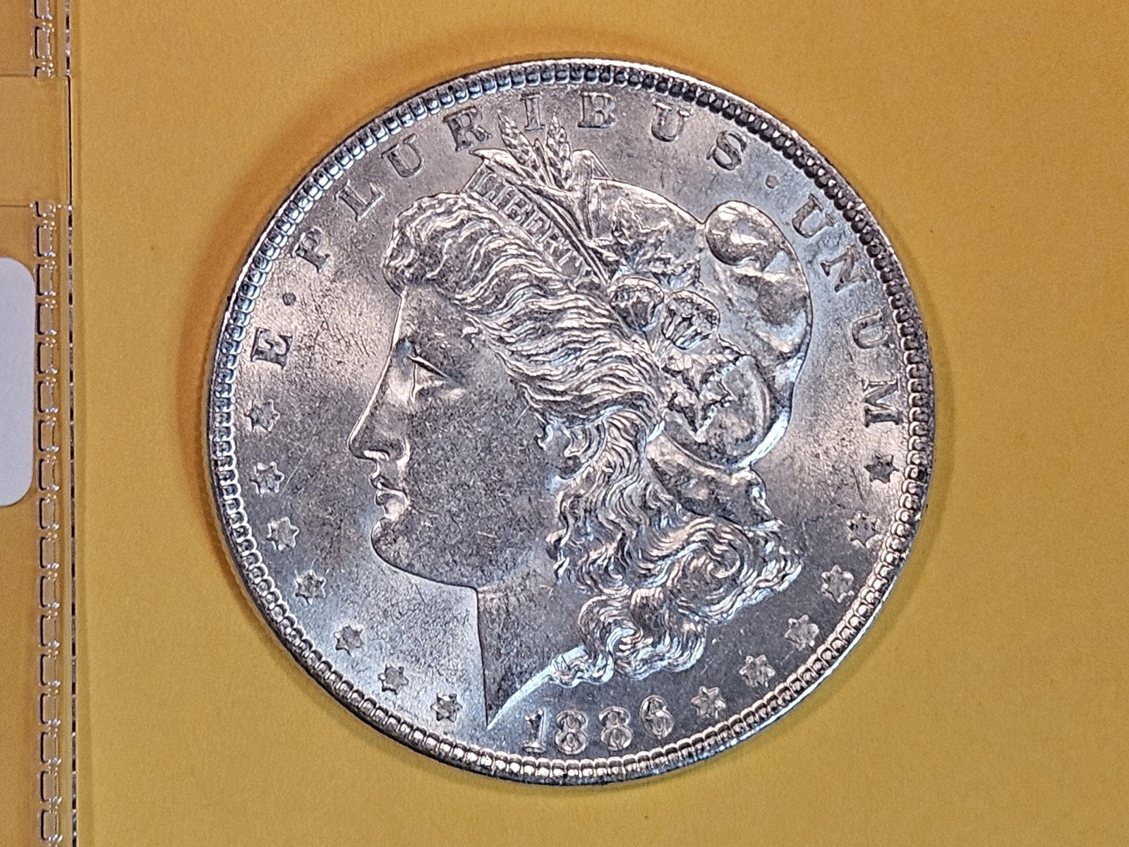 1886 Morgan Dollar (1 of 3)