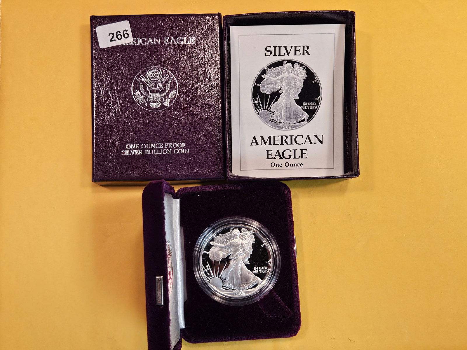 1989 GEM Proof Deep Cameo American Silver Eagle (1 of 3)