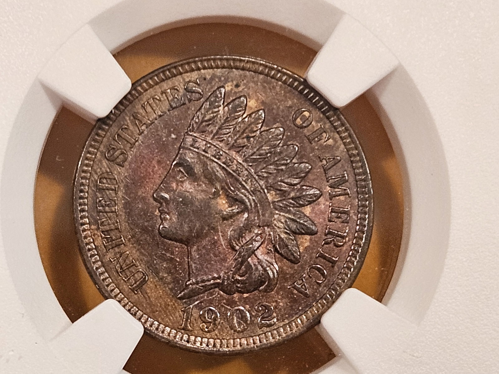 NGC 1902 Indian Cent in Mint State 63 BN (1 of 5)