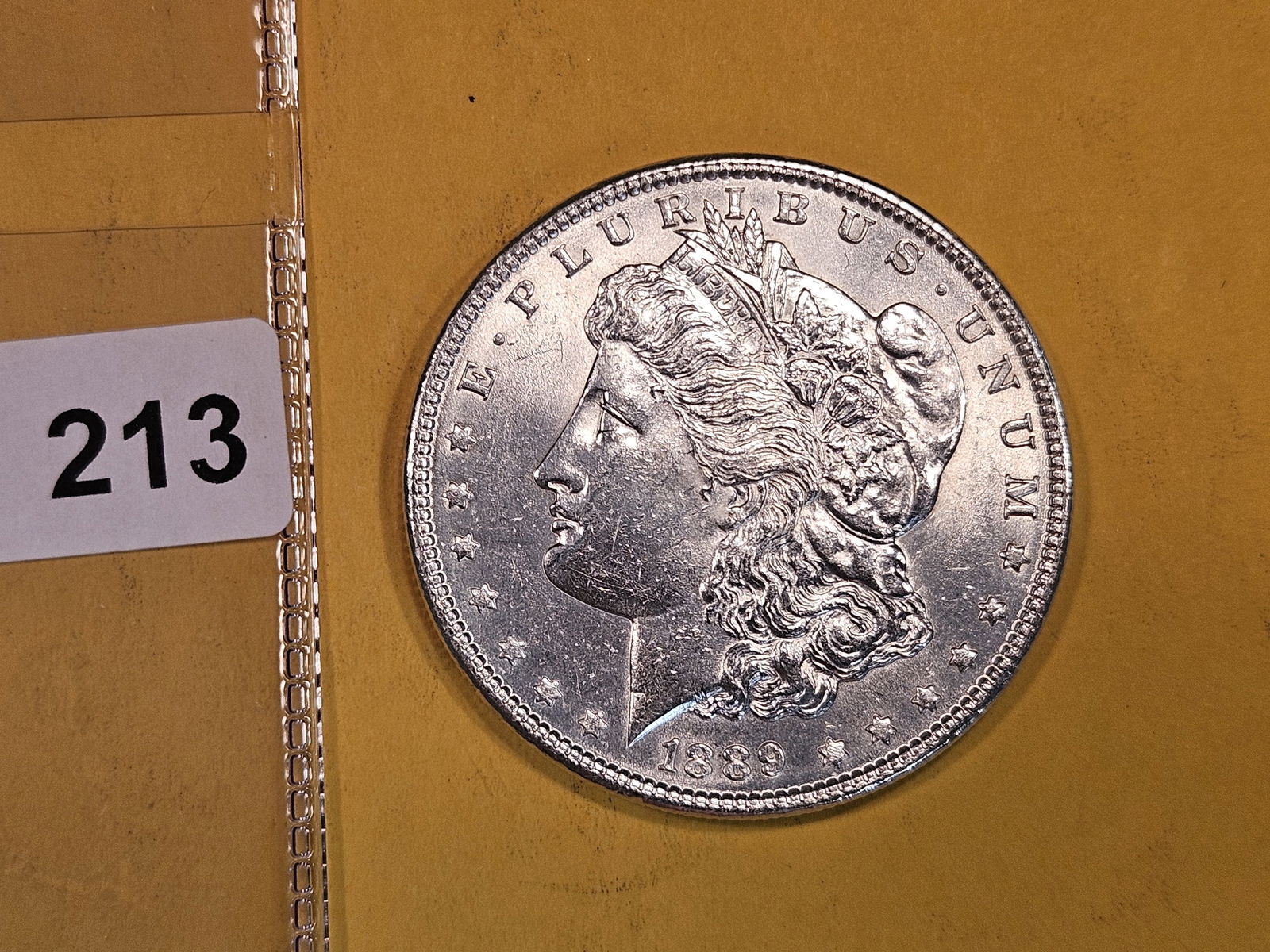 1889 Morgan Dollar (1 of 2)