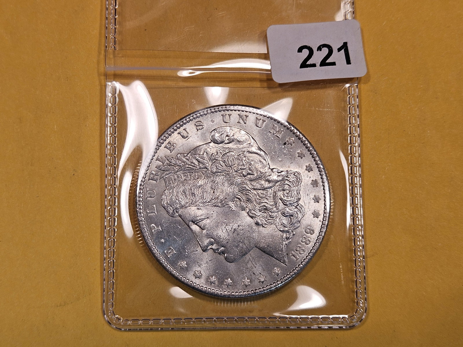 1889 Morgan Dollar (1 of 2)