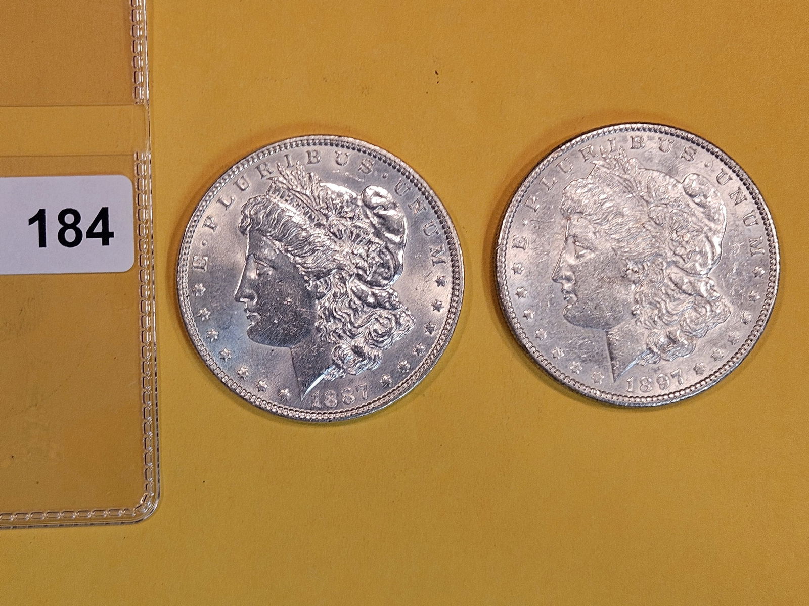 Two Brilliant About Uncirculated plus Morgan Silver Dollars (1 of 2)