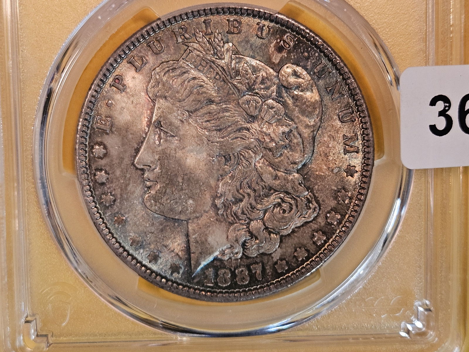 PCGS 1887 Morgan Dollar in Mint State 63 (1 of 7)