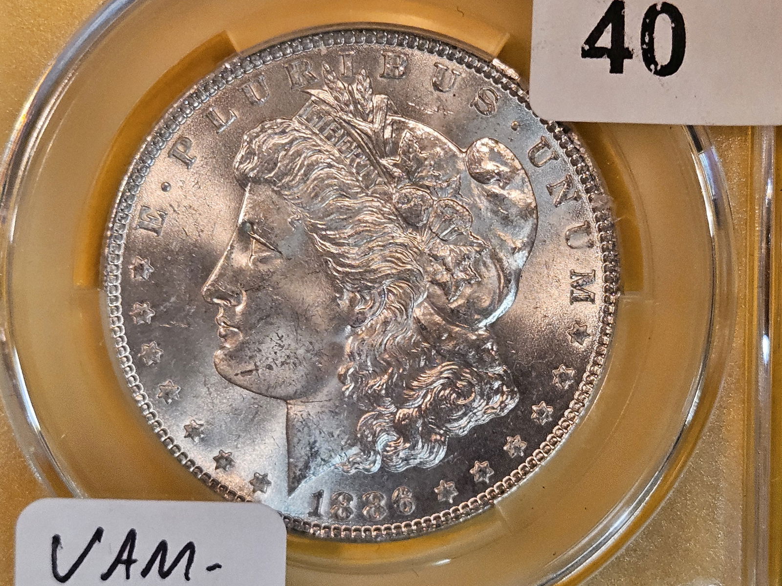 VARIETY! CACG 1886 Morgan Dollar in Mint State 63 (1 of 4)