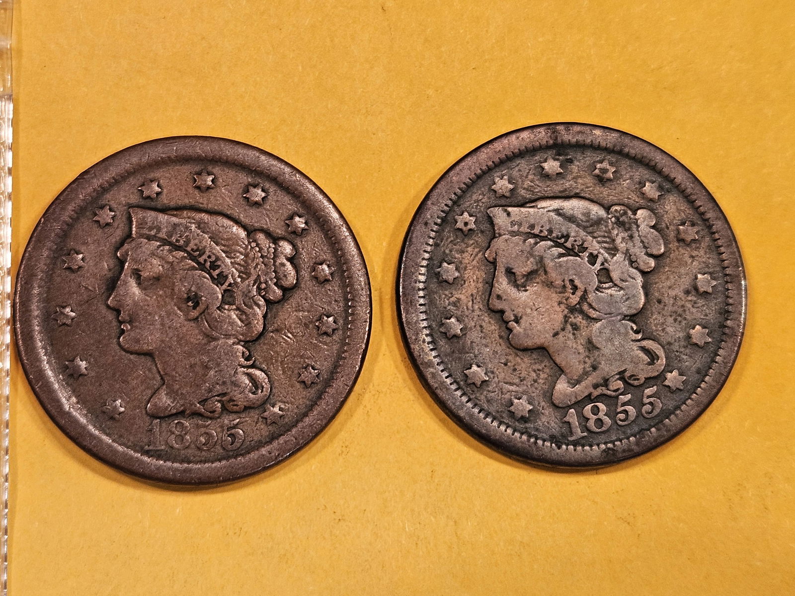 Both versions of the 1855 Braided hair Large Cent (1 of 3)