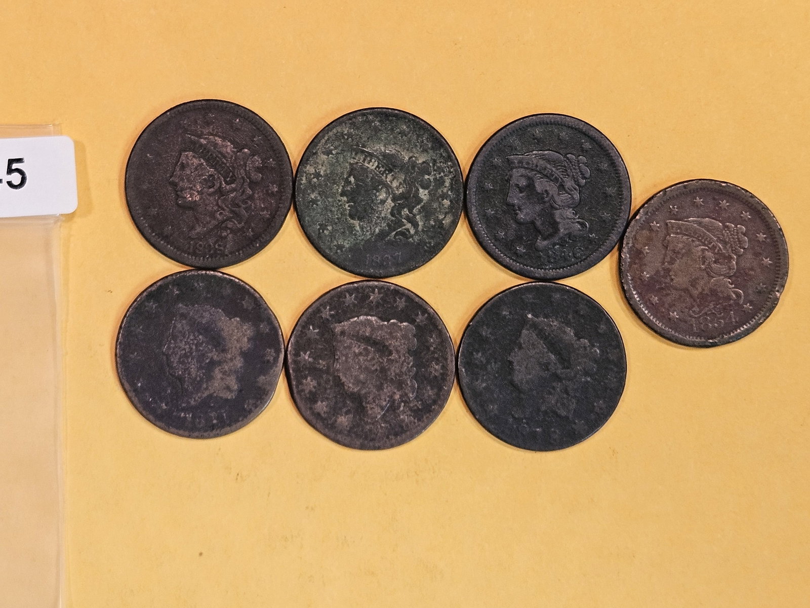 Seven mixed Coronet and Braided Hair Large Cents (1 of 3)