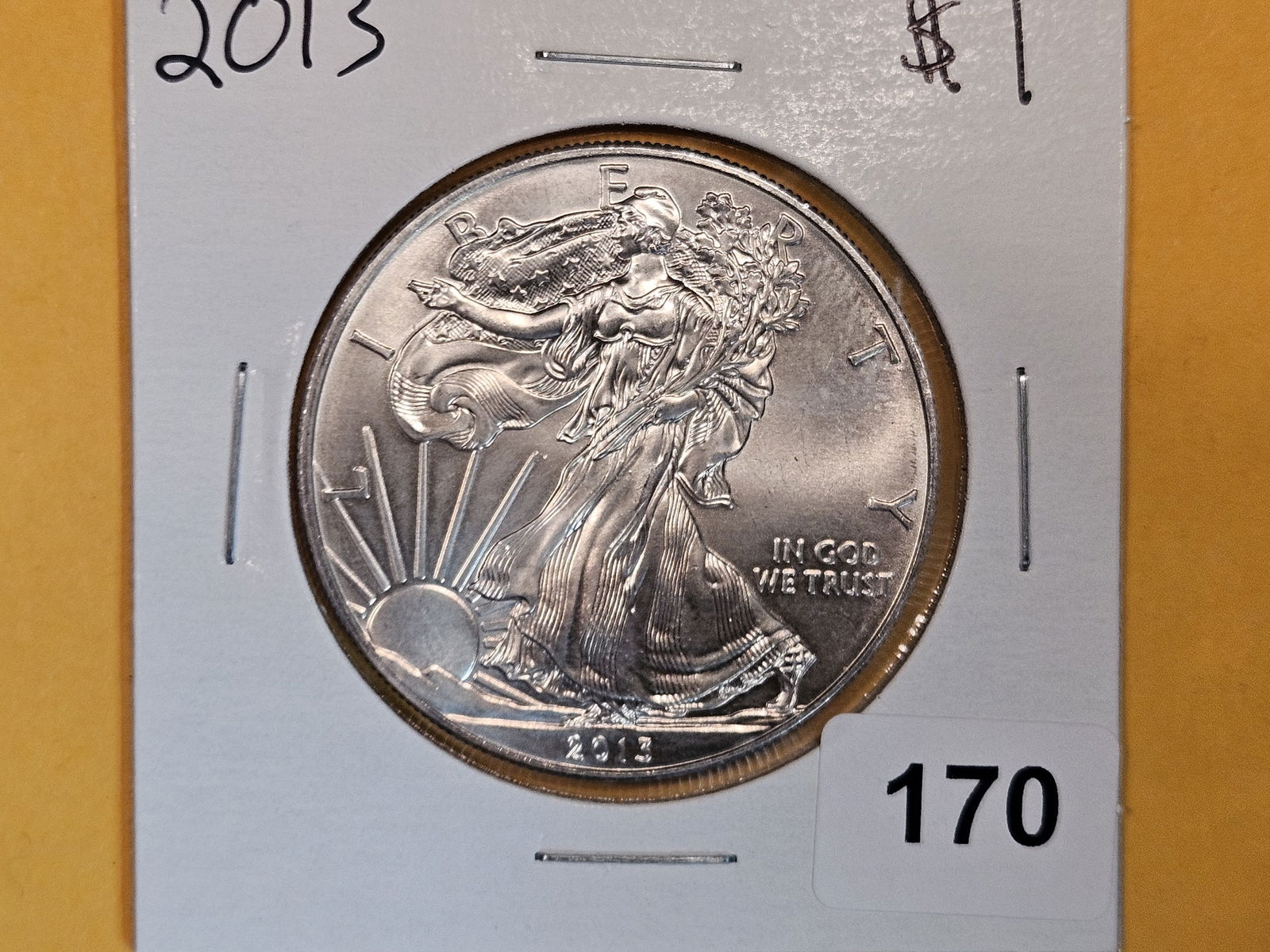 GEM Brilliant Uncirculated 2013 American Silver Eagle (1 of 2)
