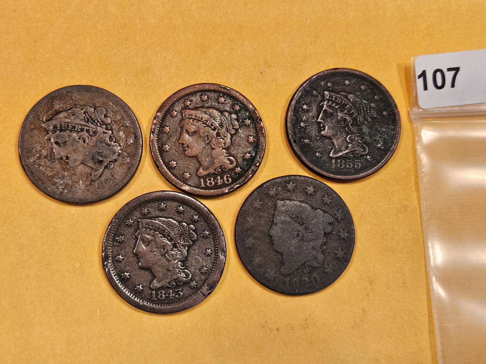 Five Braided Hair and Coronet Head Large Cents (1 of 2)