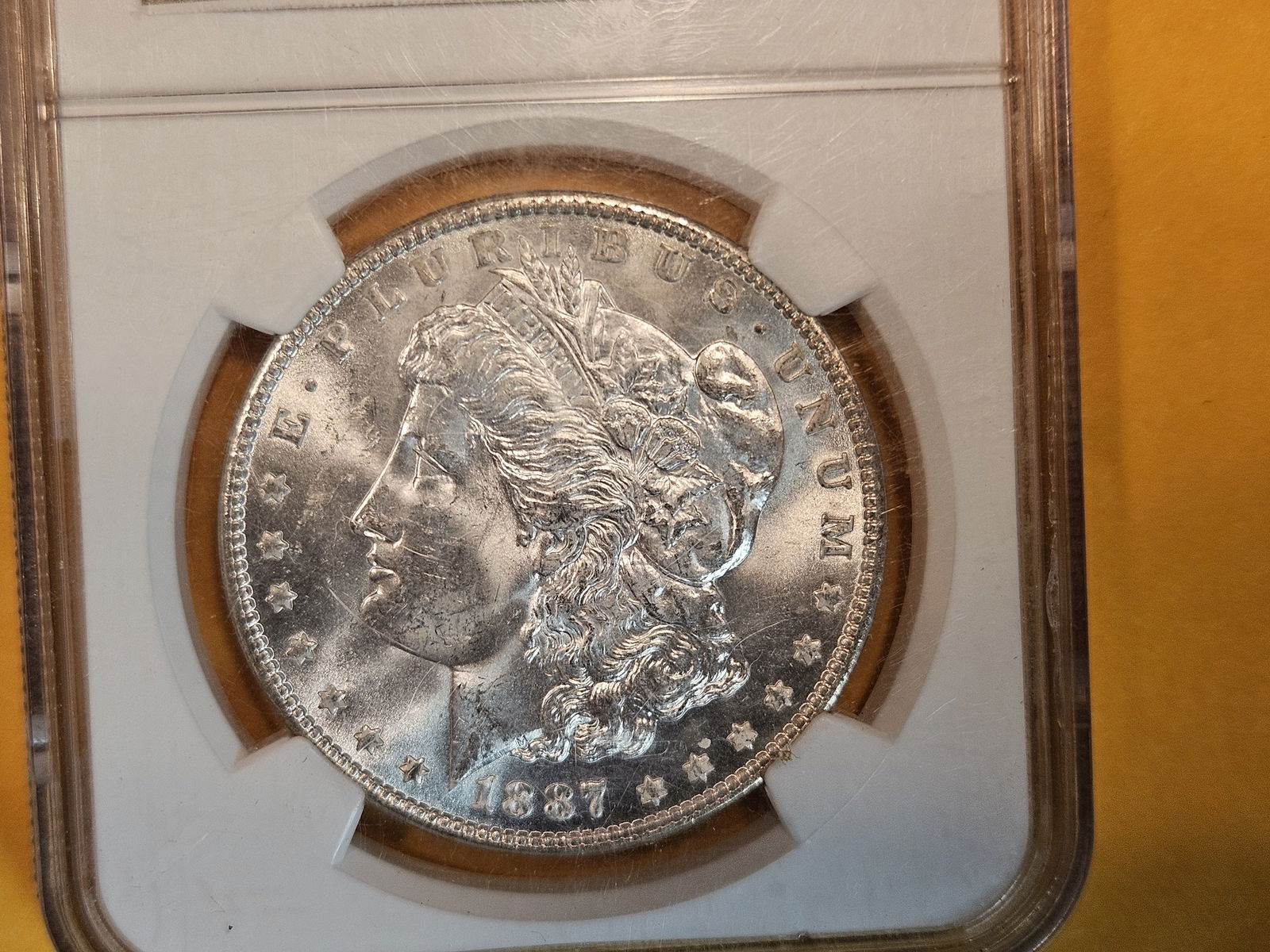 NGC 1887 Morgan Dollar in Mint State 63 (1 of 3)