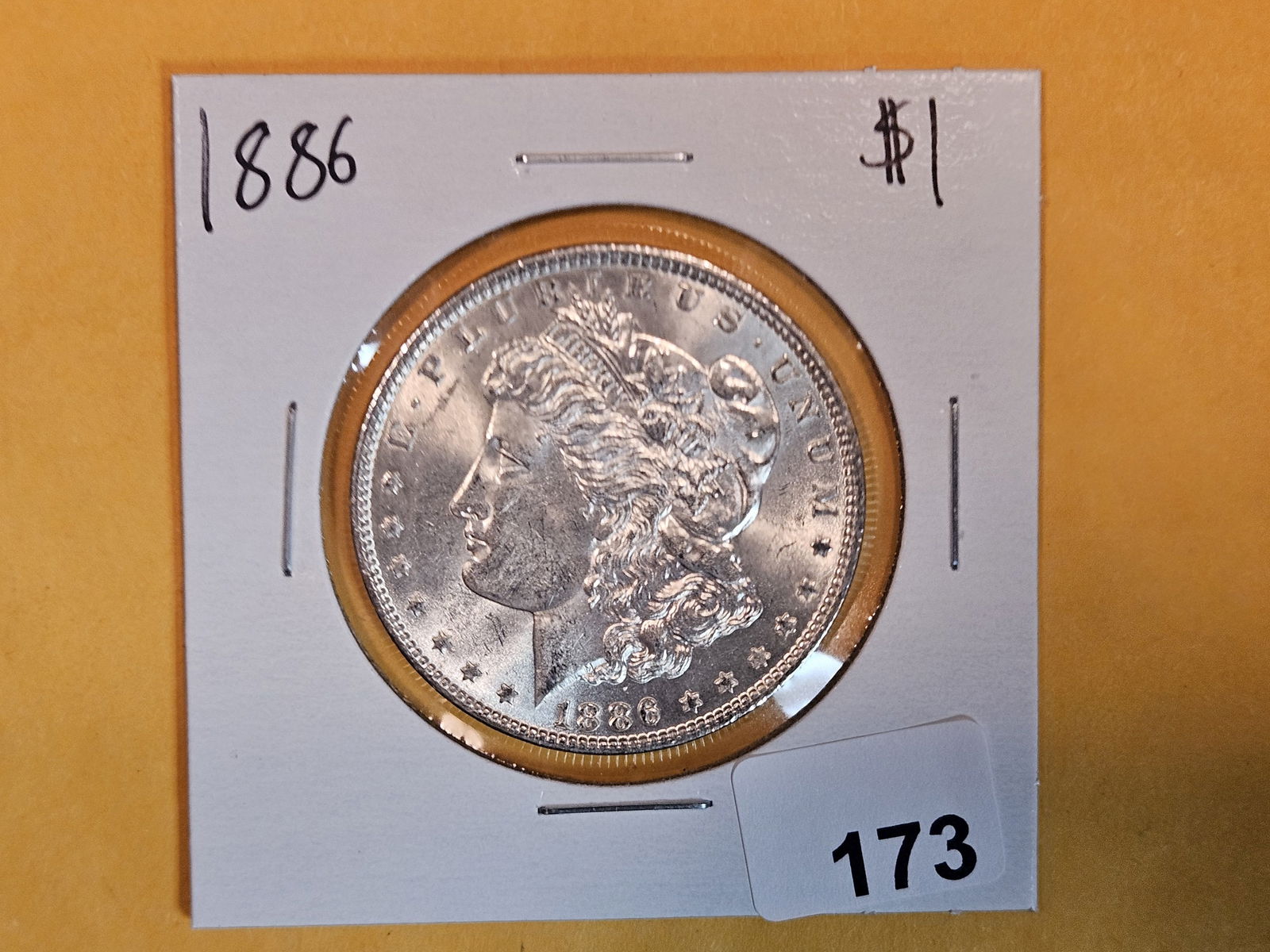 1886 Morgan Silver Dollar (1 of 2)
