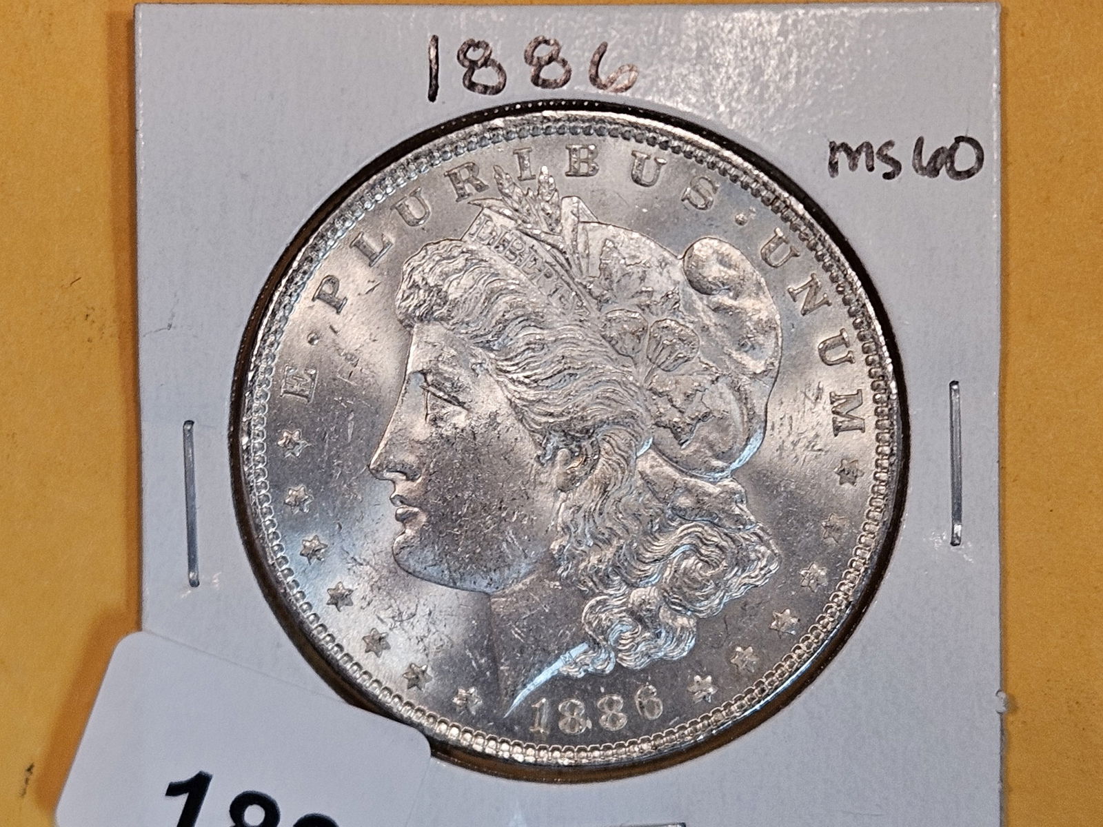 Brilliant Uncirculated Plus 1886 Morgan Dollar (1 of 2)