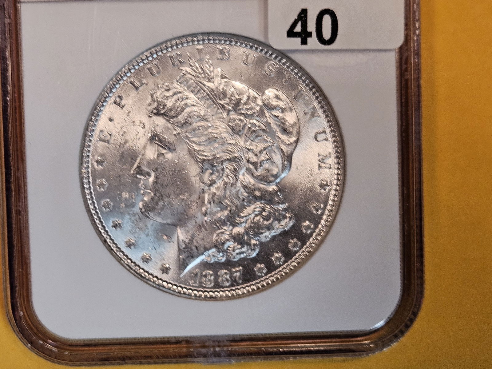NGC 1887 Morgan Dollar (1 of 3)
