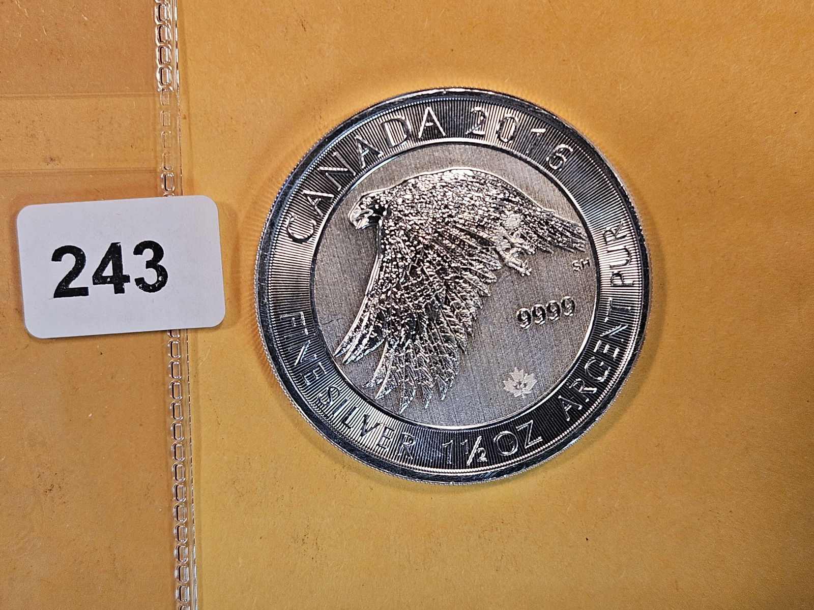 GEM Brilliant uncirculated Canada Silver Eight Dollars (1 of 2)