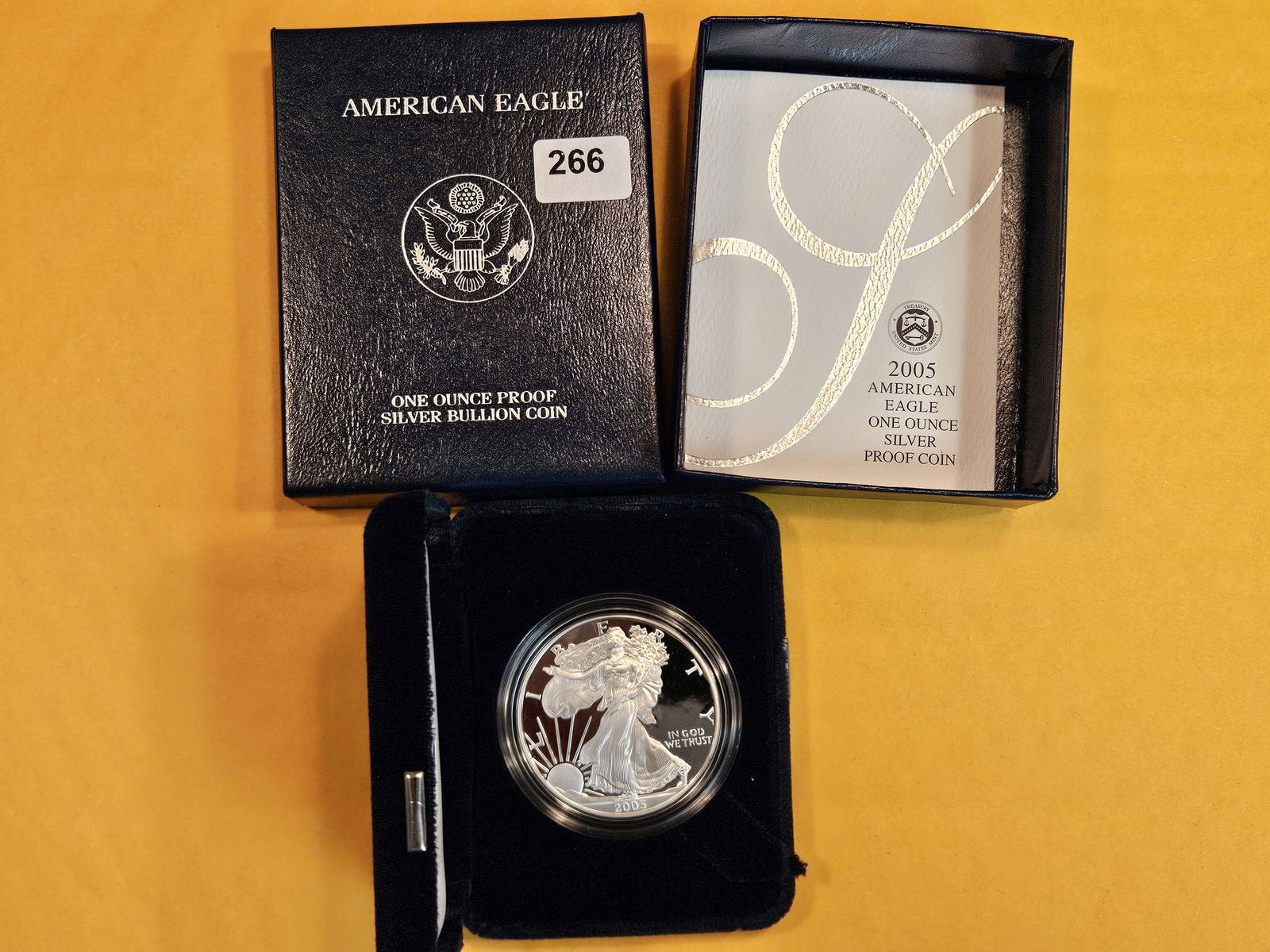 GEM 2005 Proof Deep Cameo American Silver Eagle (1 of 3)