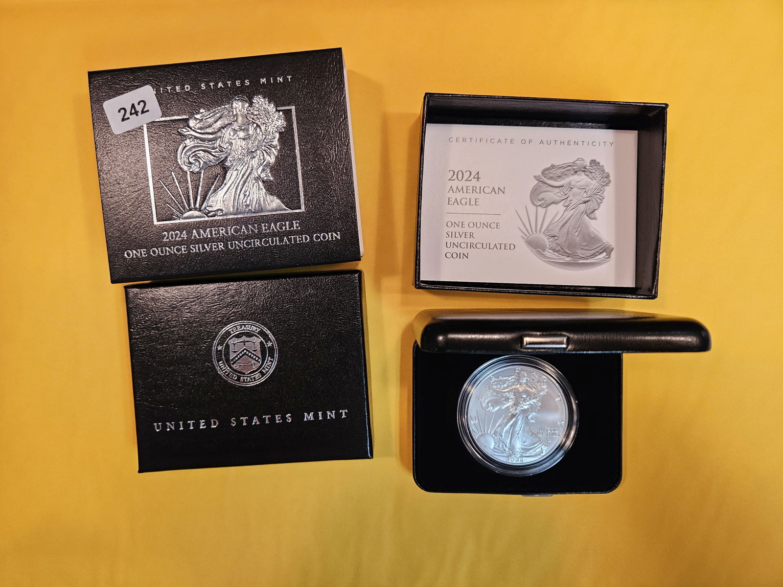 GEM Brilliant Uncirculated 2024 American Silver Eagle (1 of 3)