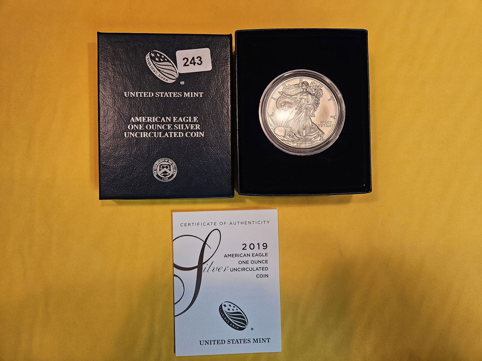 GEM Brilliant Uncirculated 2019 American Silver Eagle (1 of 3)