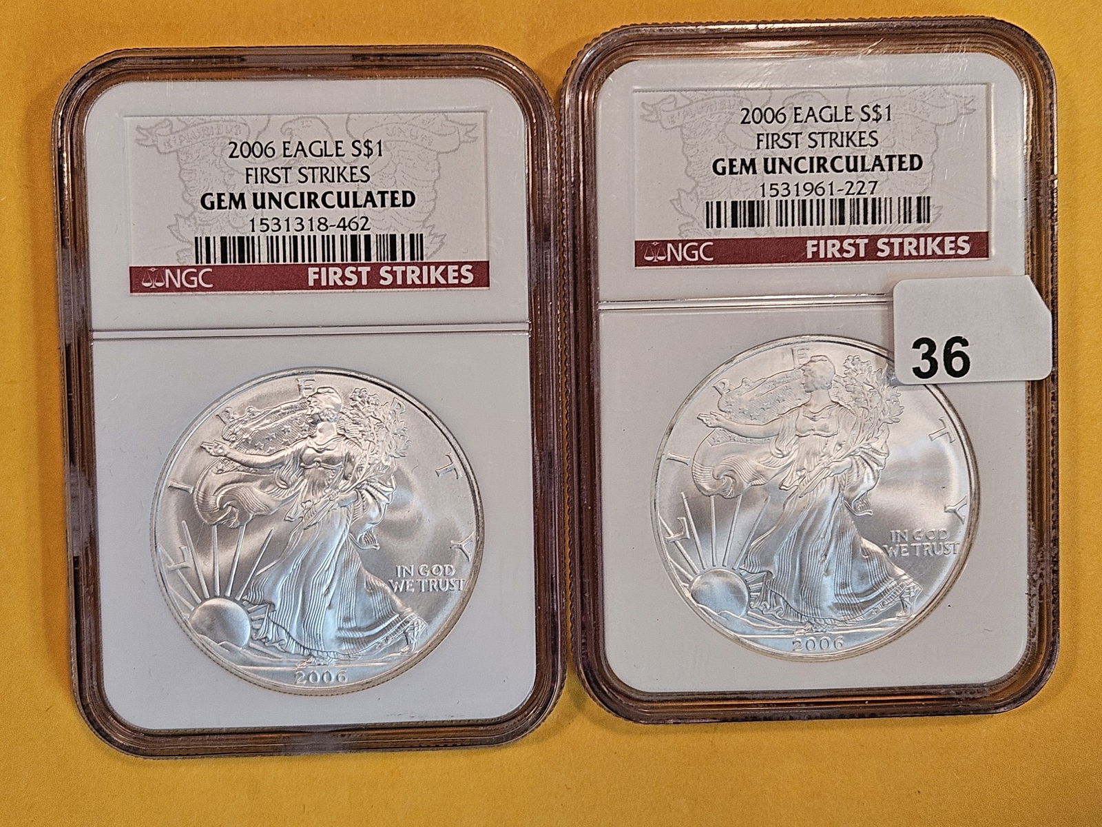 Two GEM! NGC-graded 2006 American Silver Eagles (1 of 2)