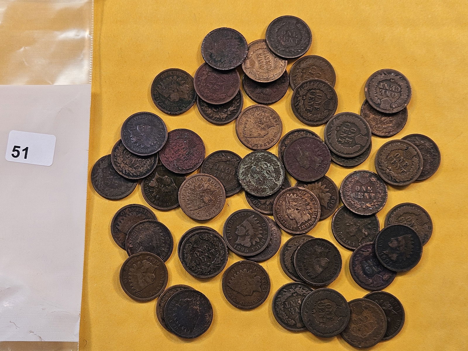 Fifty Circulated Indian Head Cents (1 of 1)
