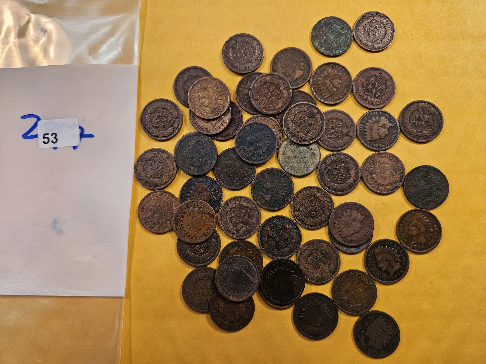 Fifty Circulated Indian Head Cents (1 of 1)