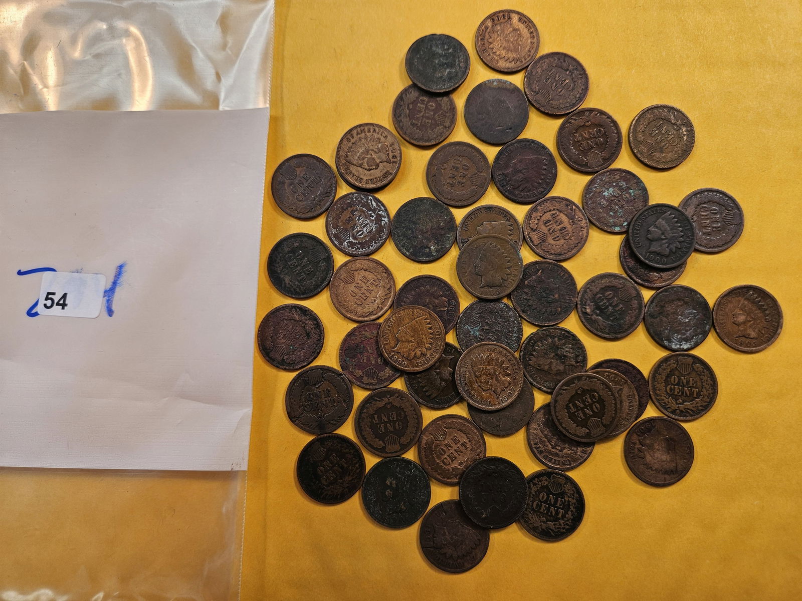 Fifty Circulated Indian Head Cents (1 of 1)